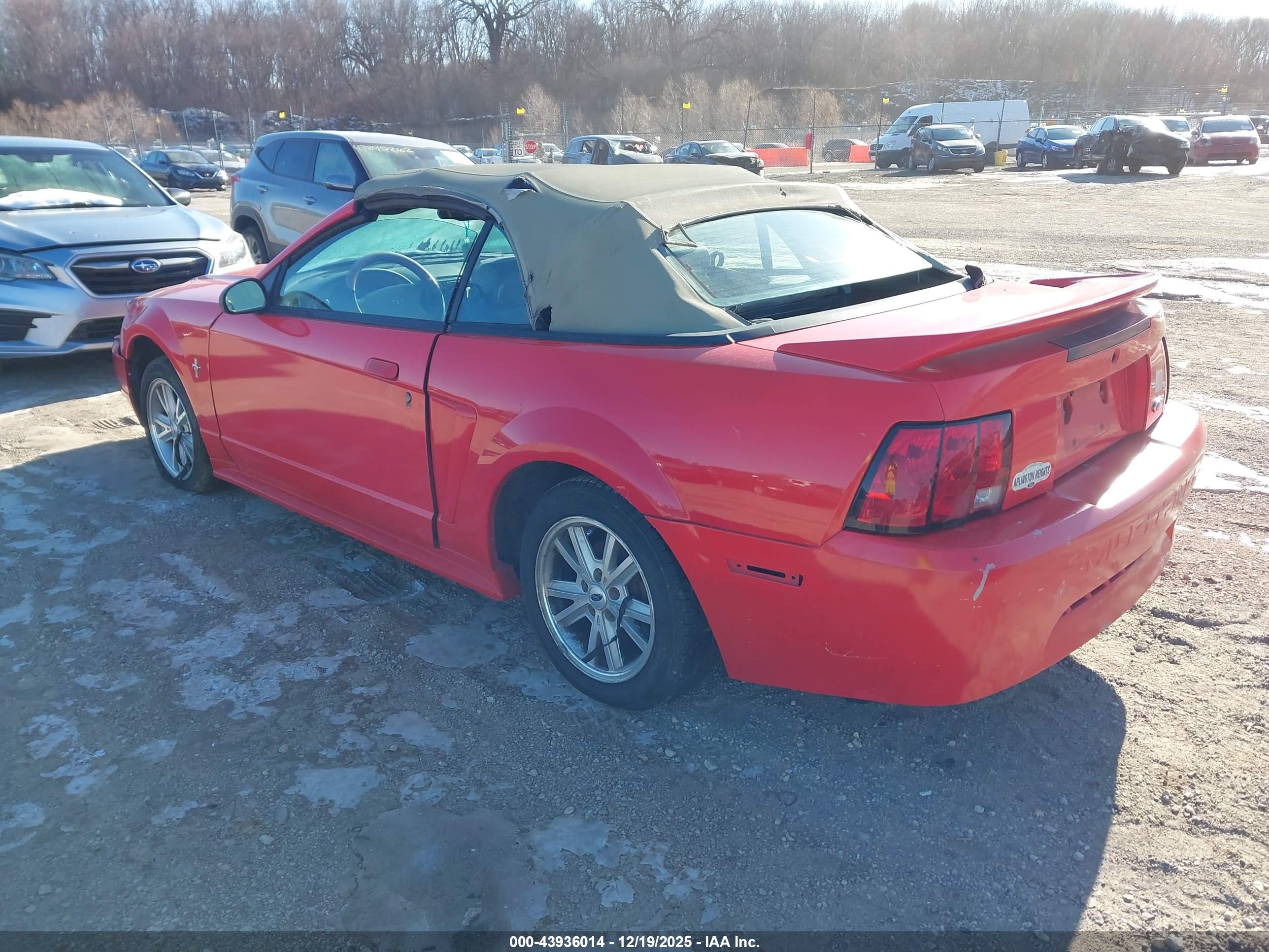 FORD MUSTANG image 3