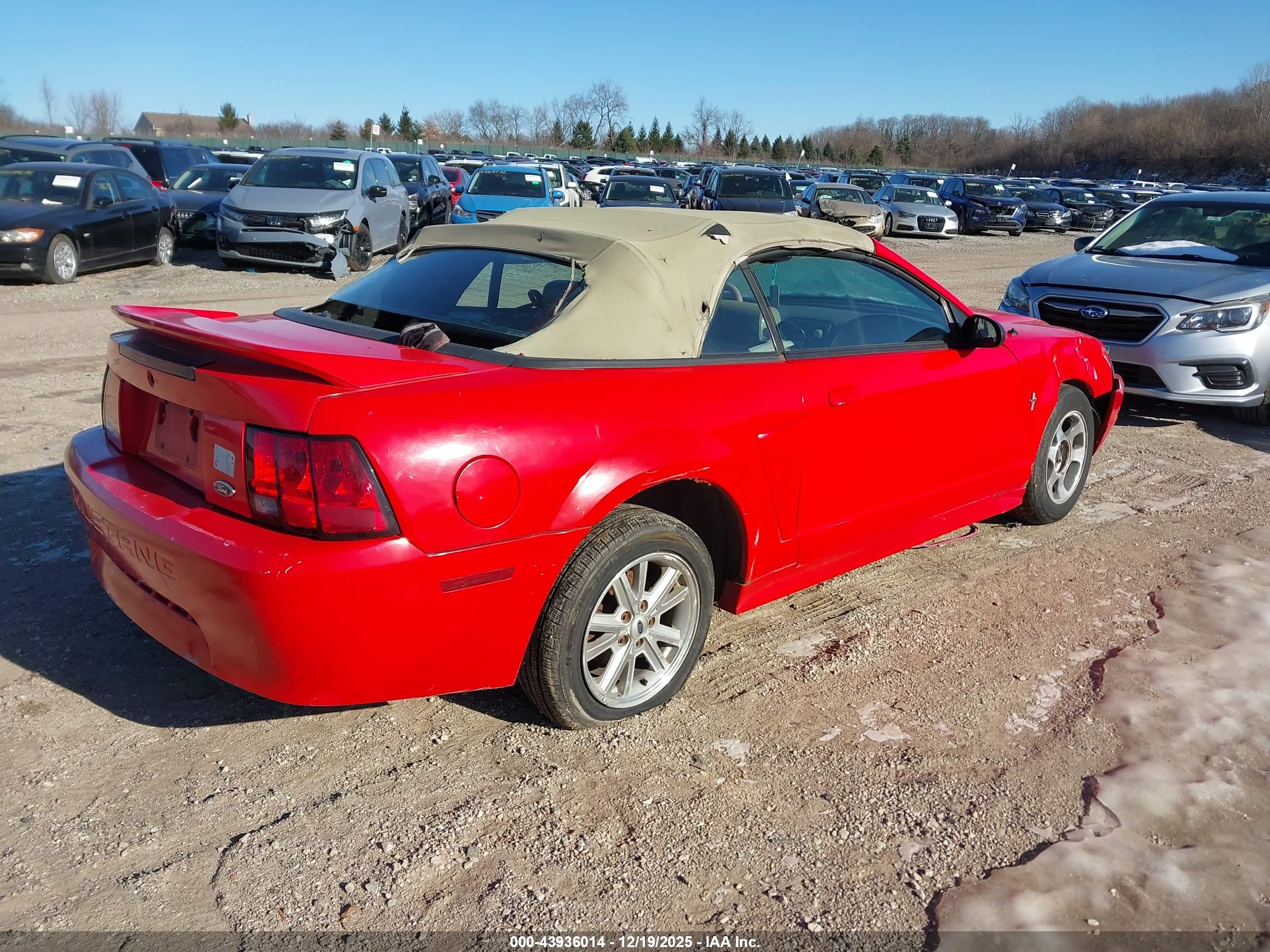 FORD MUSTANG image 4