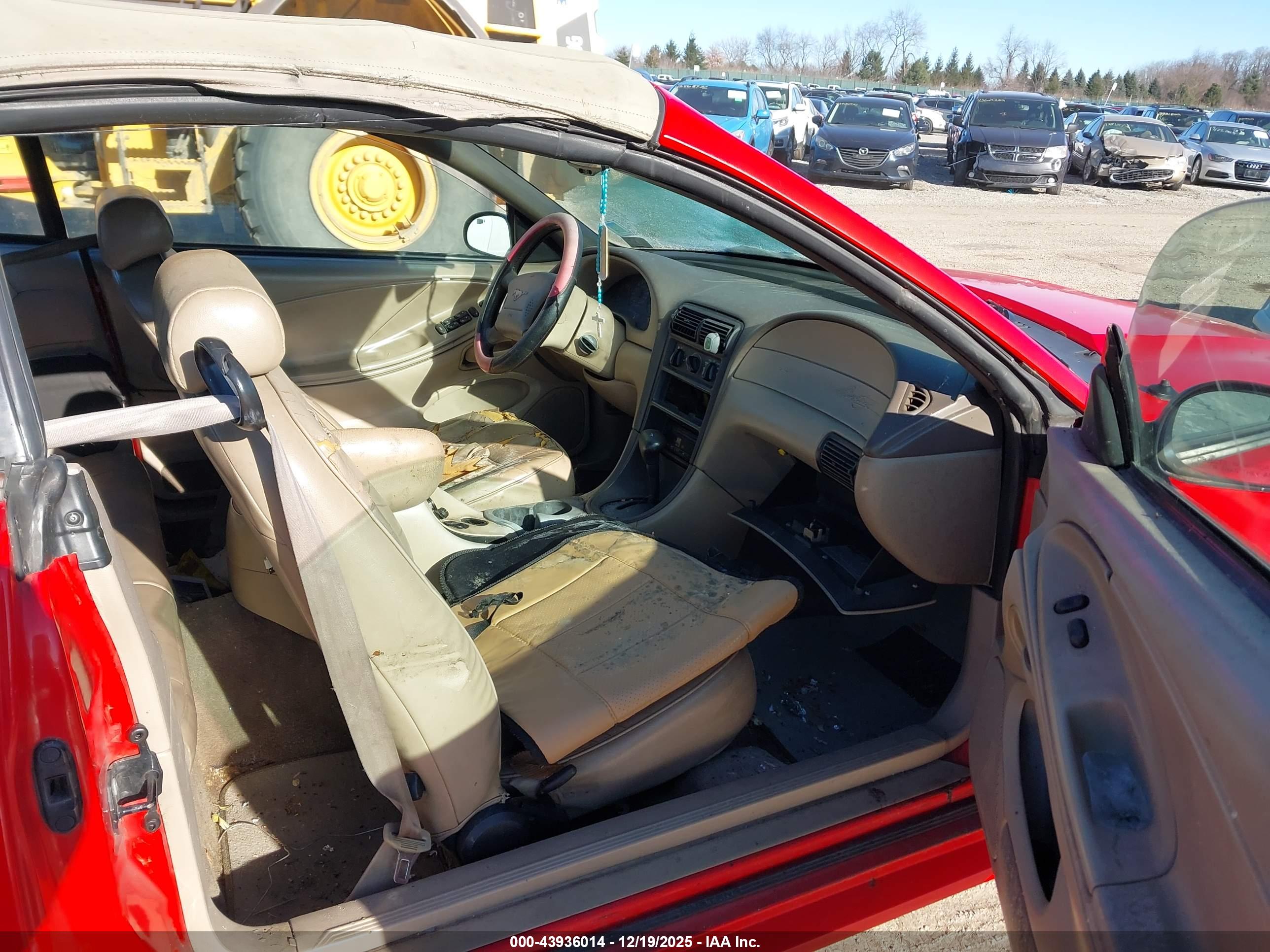 FORD MUSTANG image 5