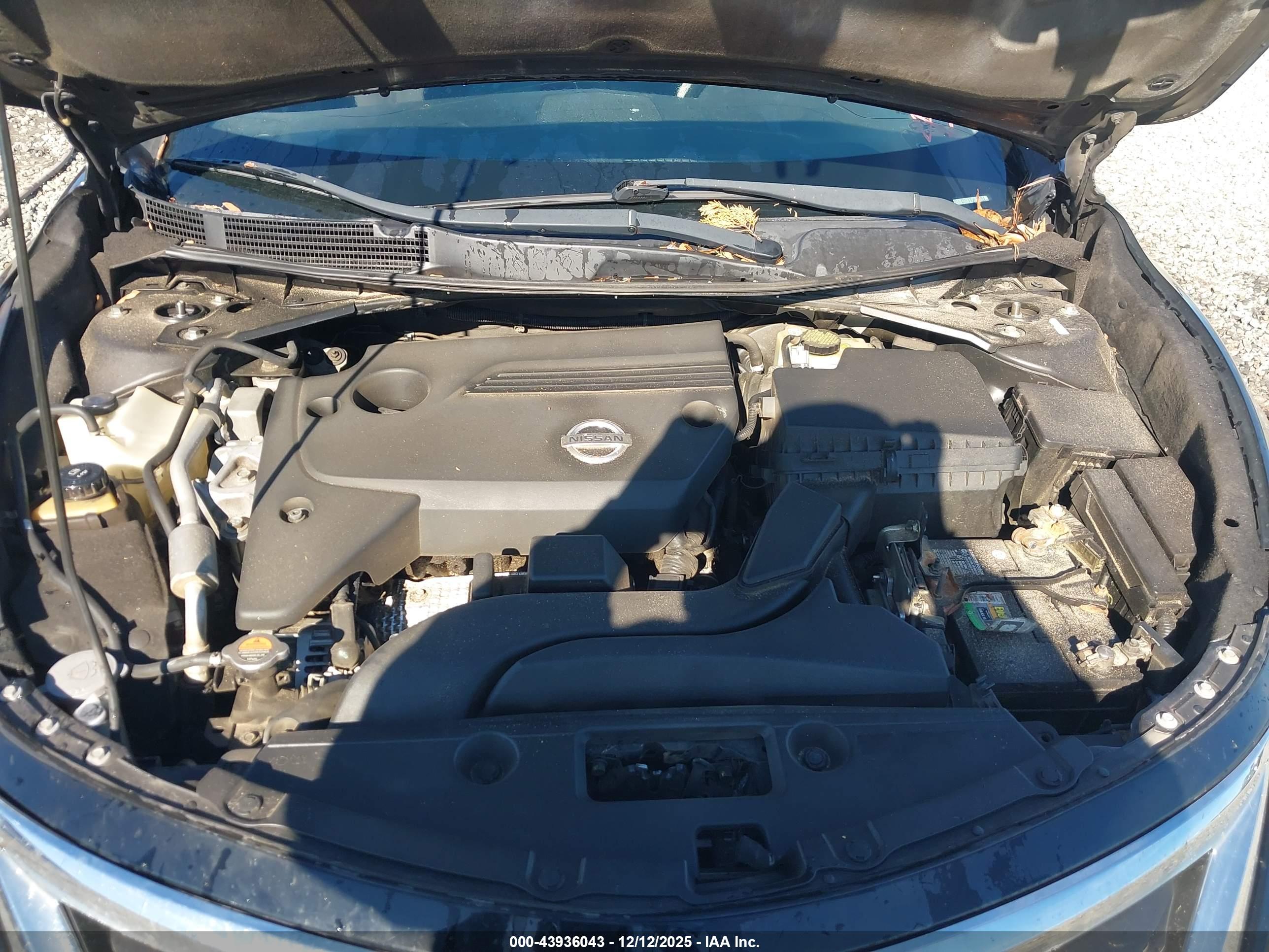 NISSAN ALTIMA image 10