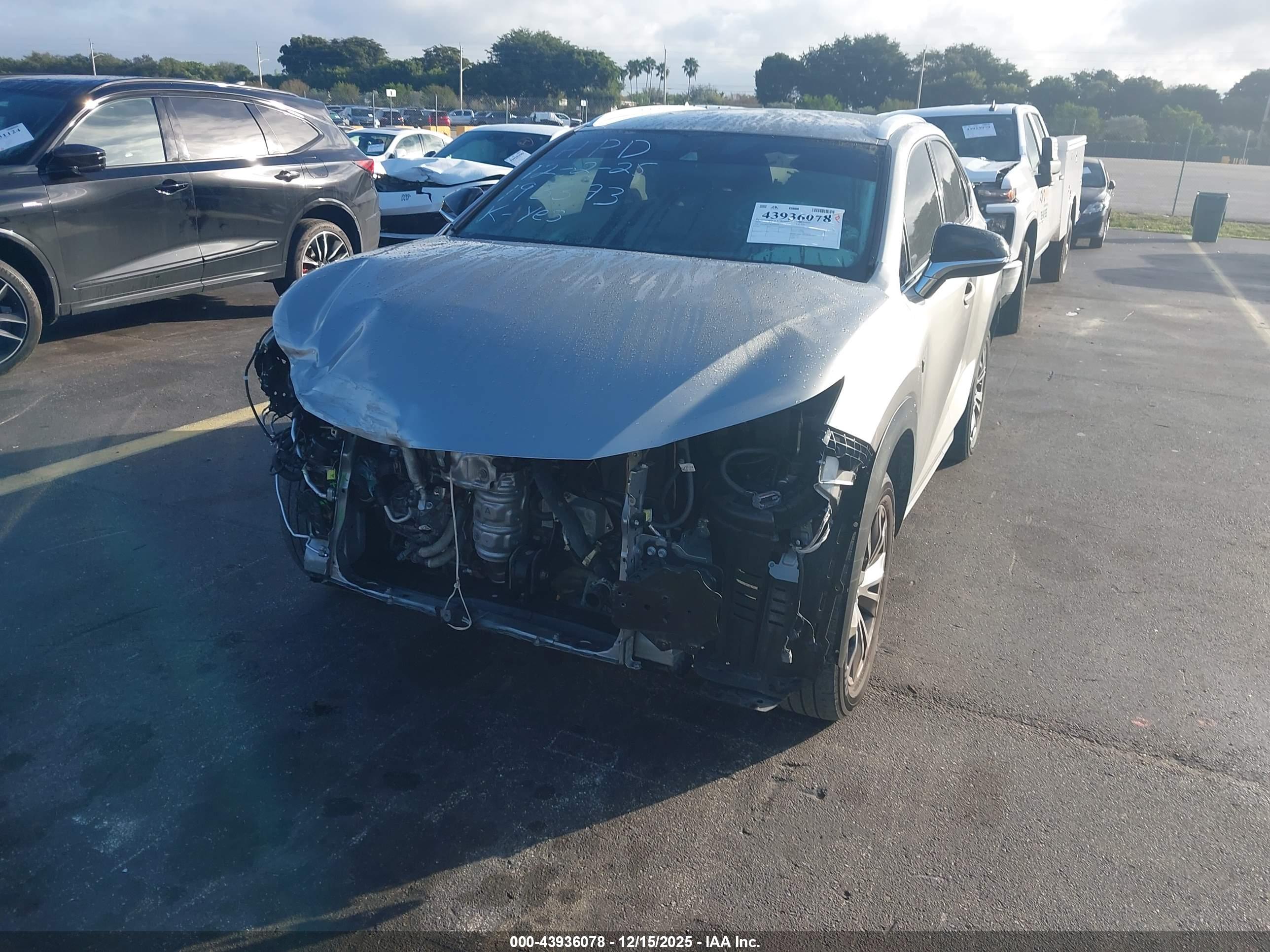 LEXUS NX image 6