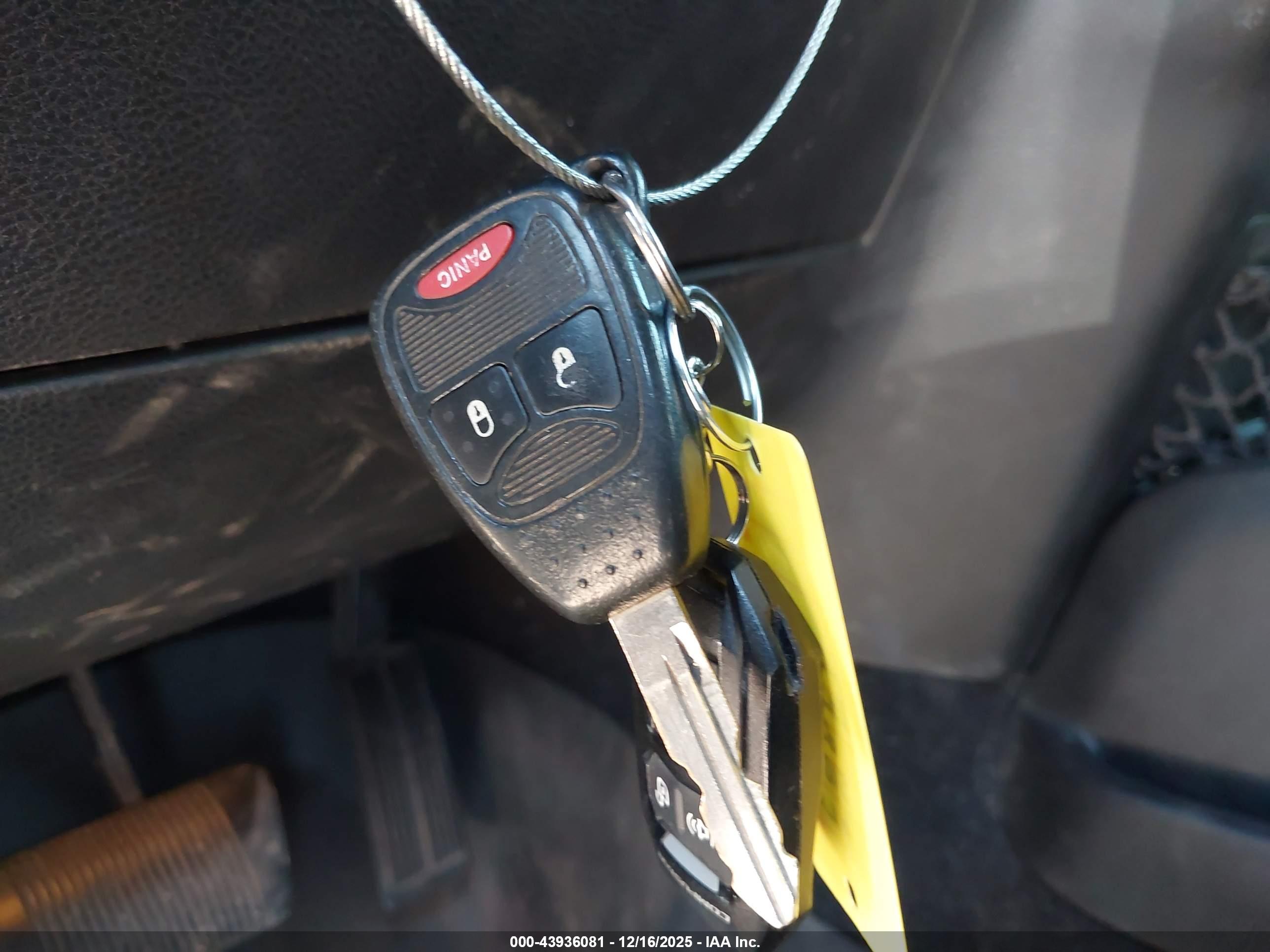 JEEP WRANGLER image 11
