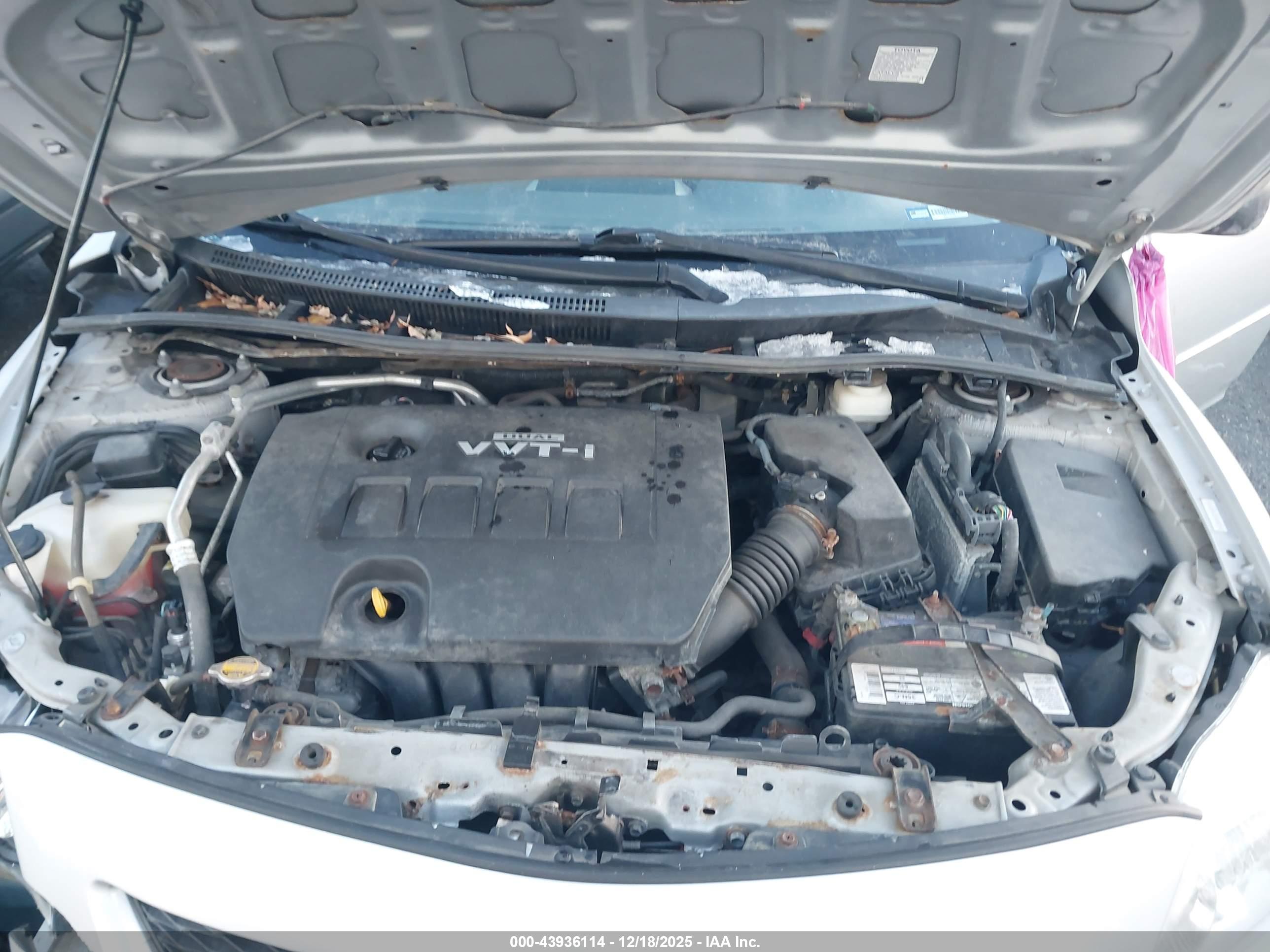 TOYOTA COROLLA image 10