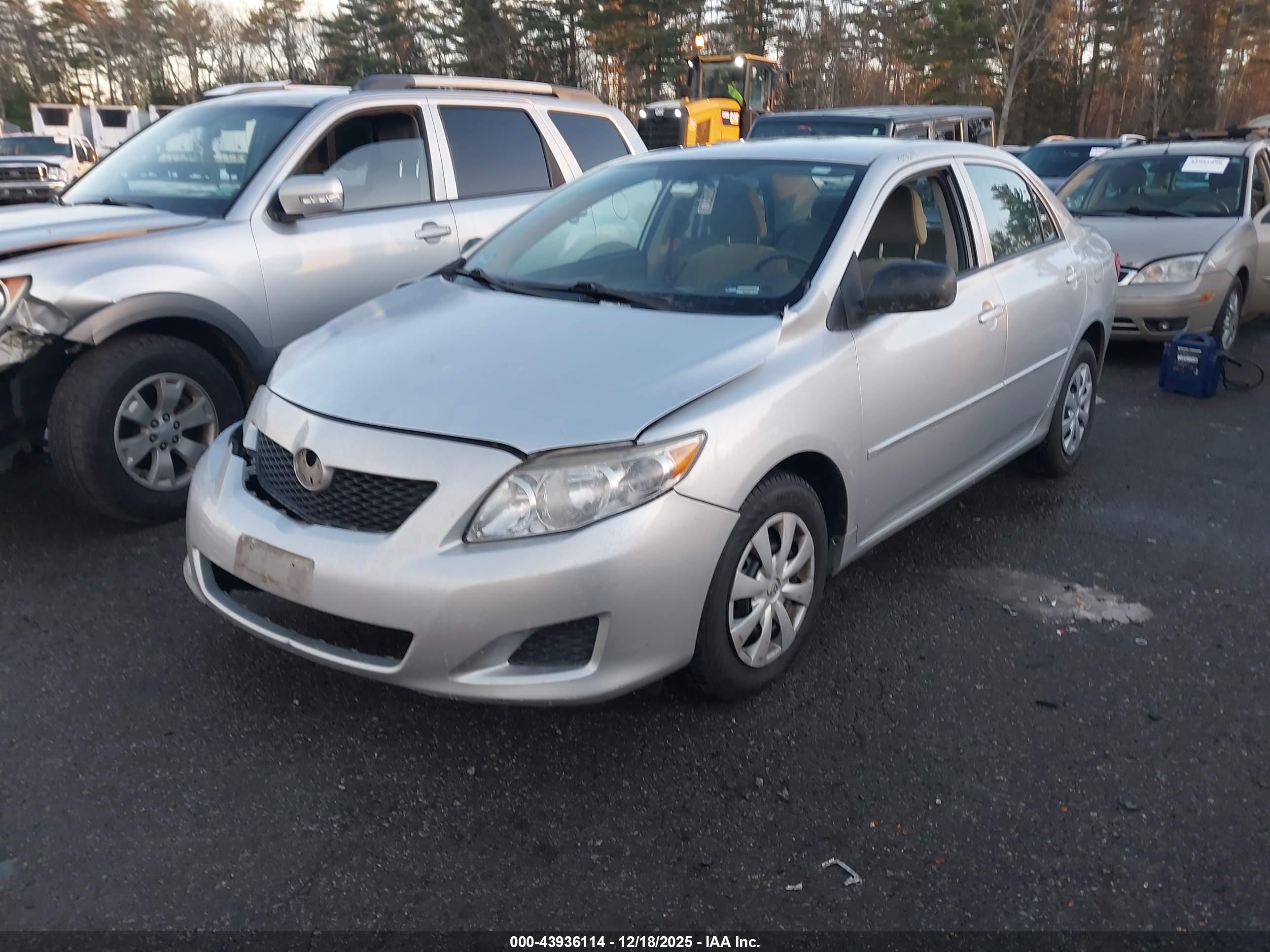 TOYOTA COROLLA image 2
