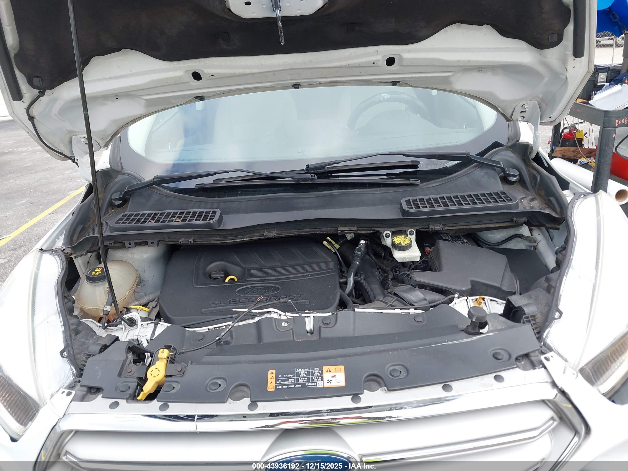 FORD ESCAPE image 10