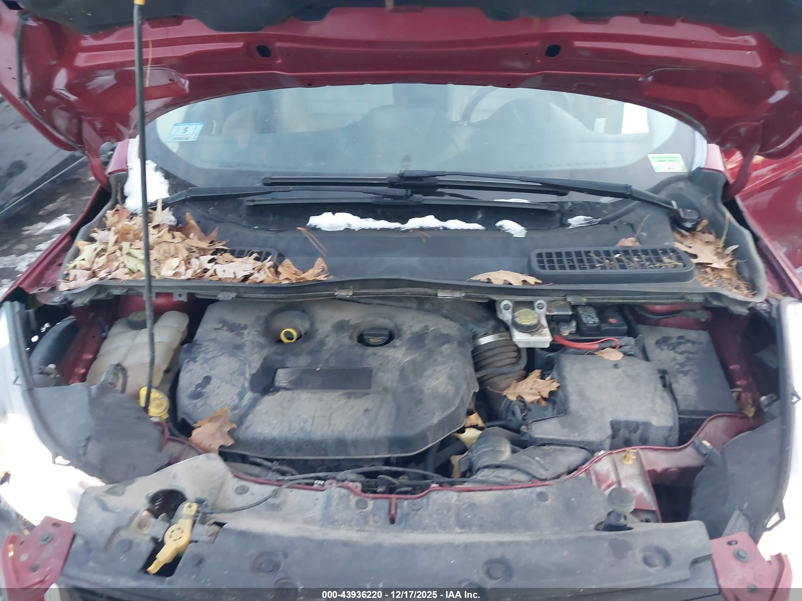 FORD ESCAPE image 10