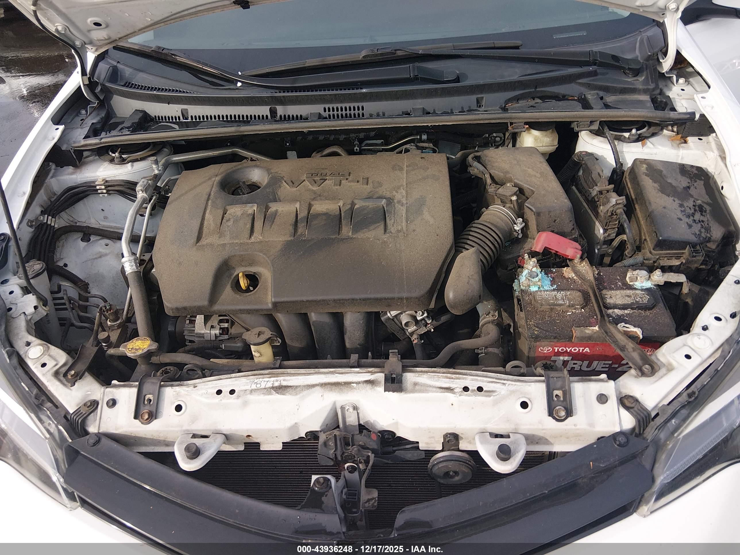 TOYOTA COROLLA image 10