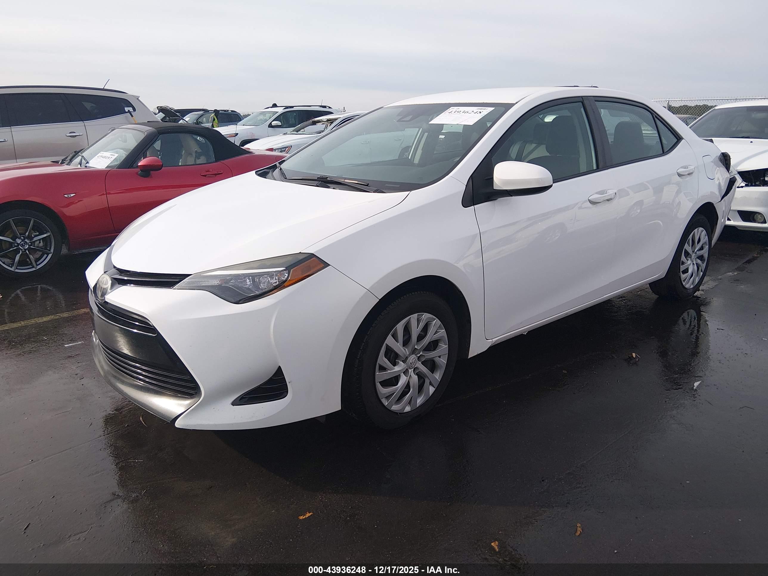 TOYOTA COROLLA image 2