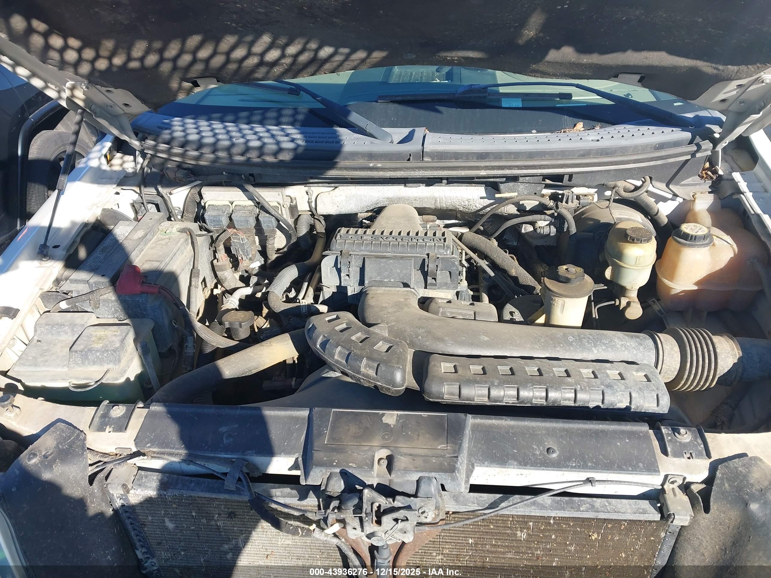 FORD F-150 image 10