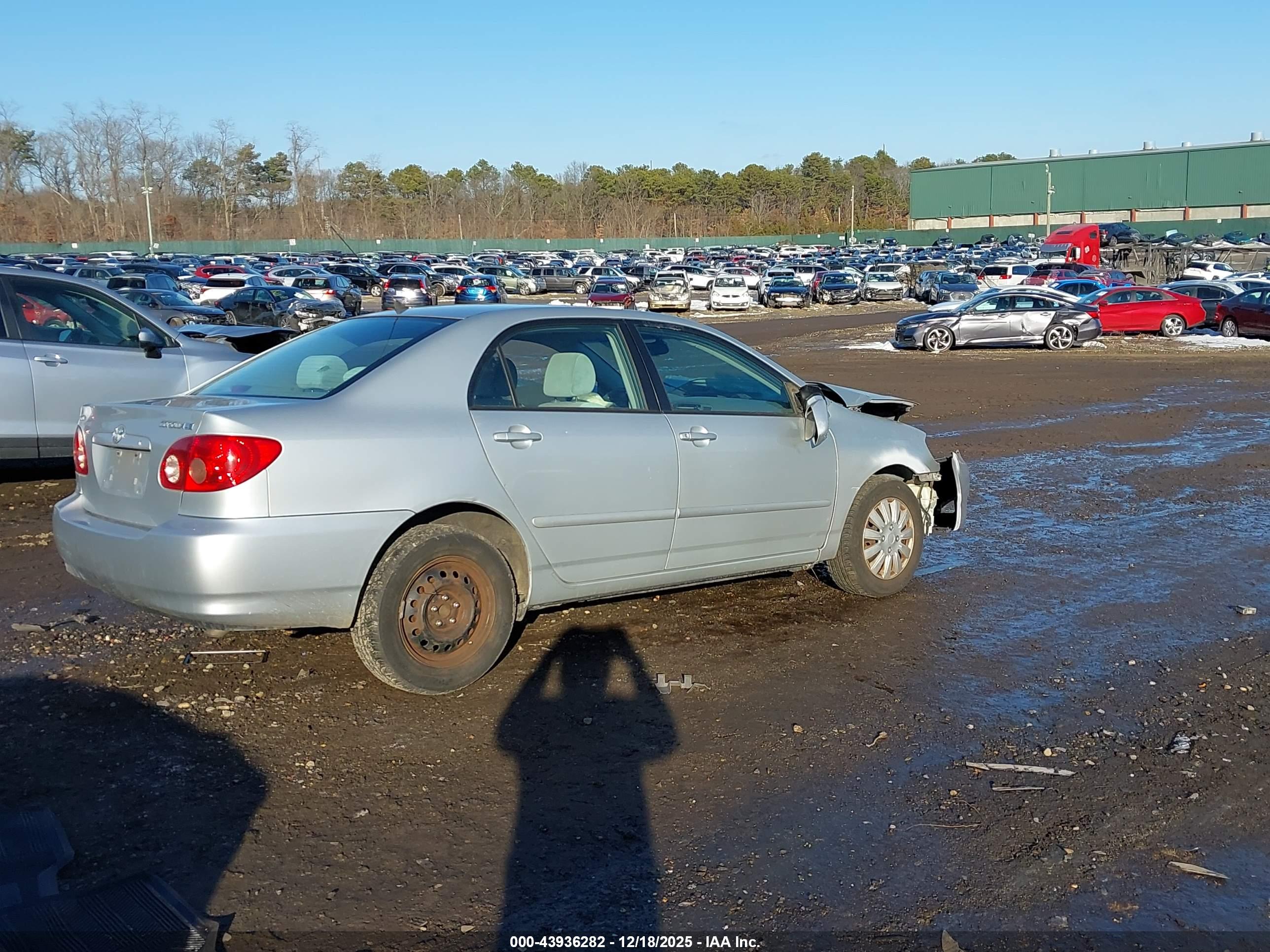 TOYOTA COROLLA image 4
