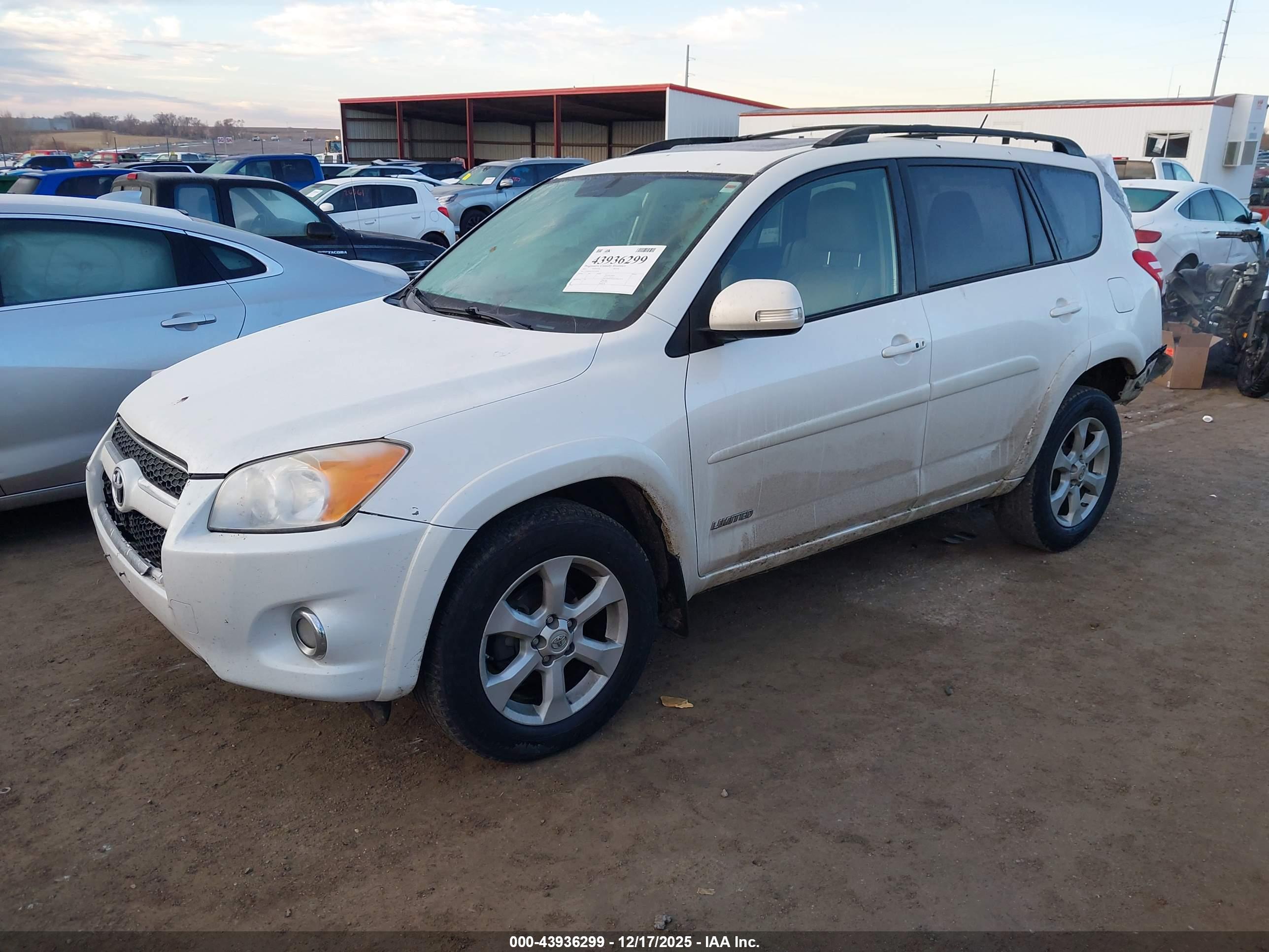 TOYOTA RAV4 image 2