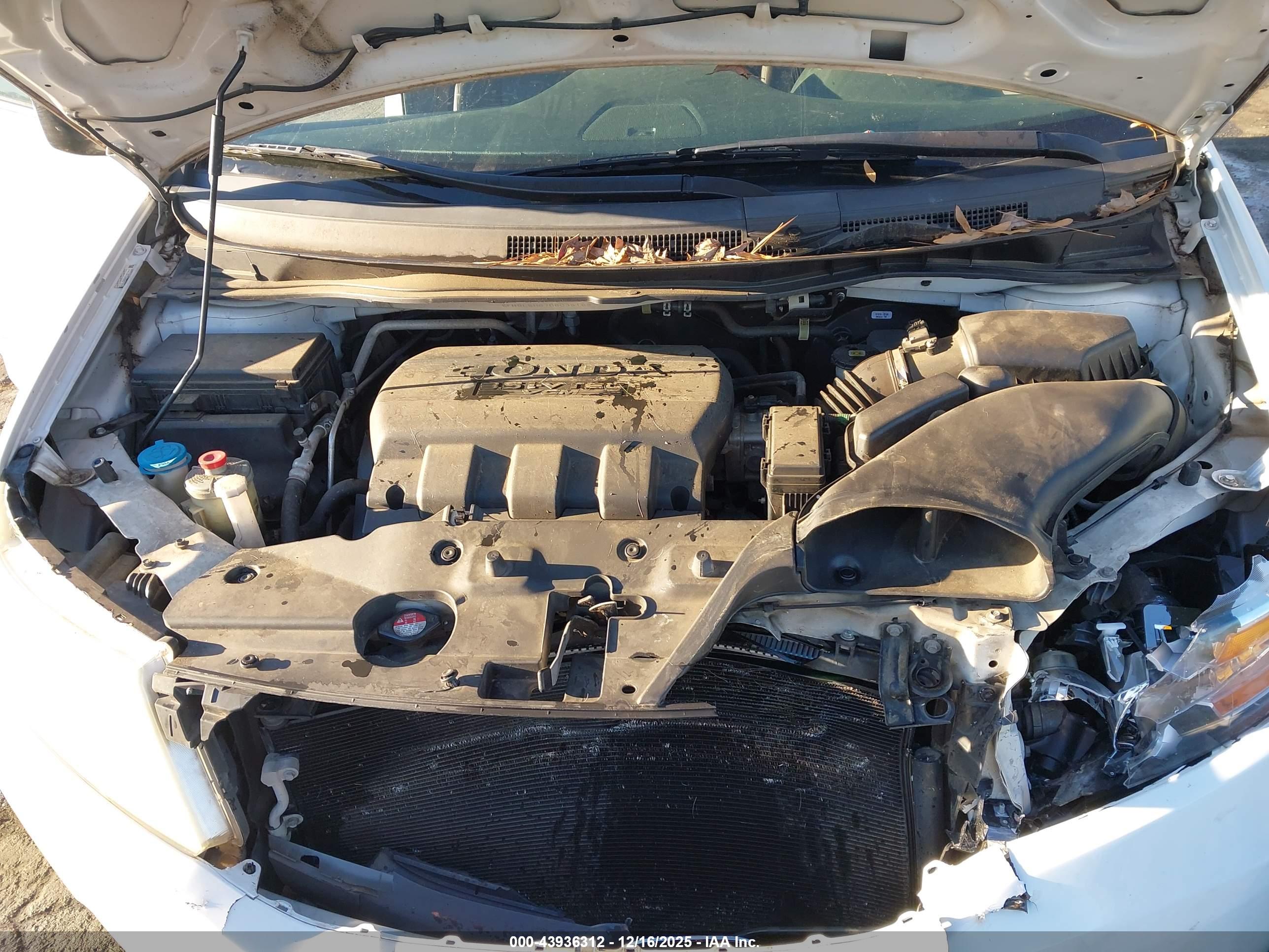 HONDA ODYSSEY image 10