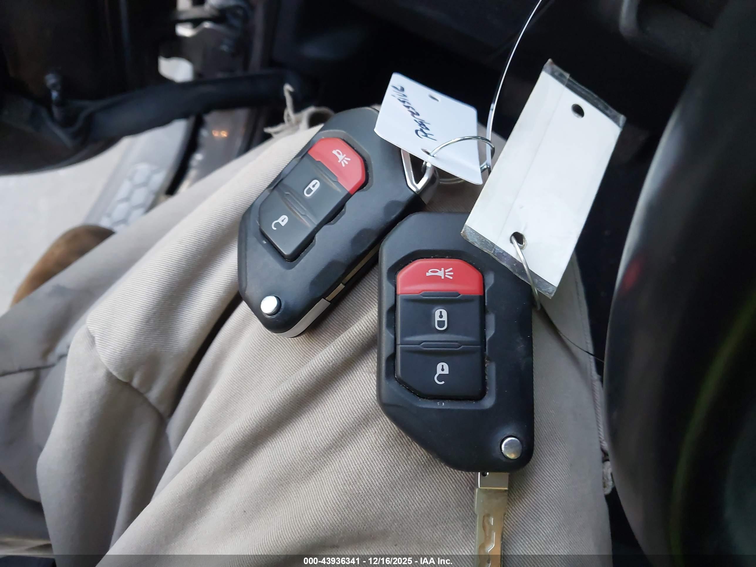 JEEP WRANGLER image 11