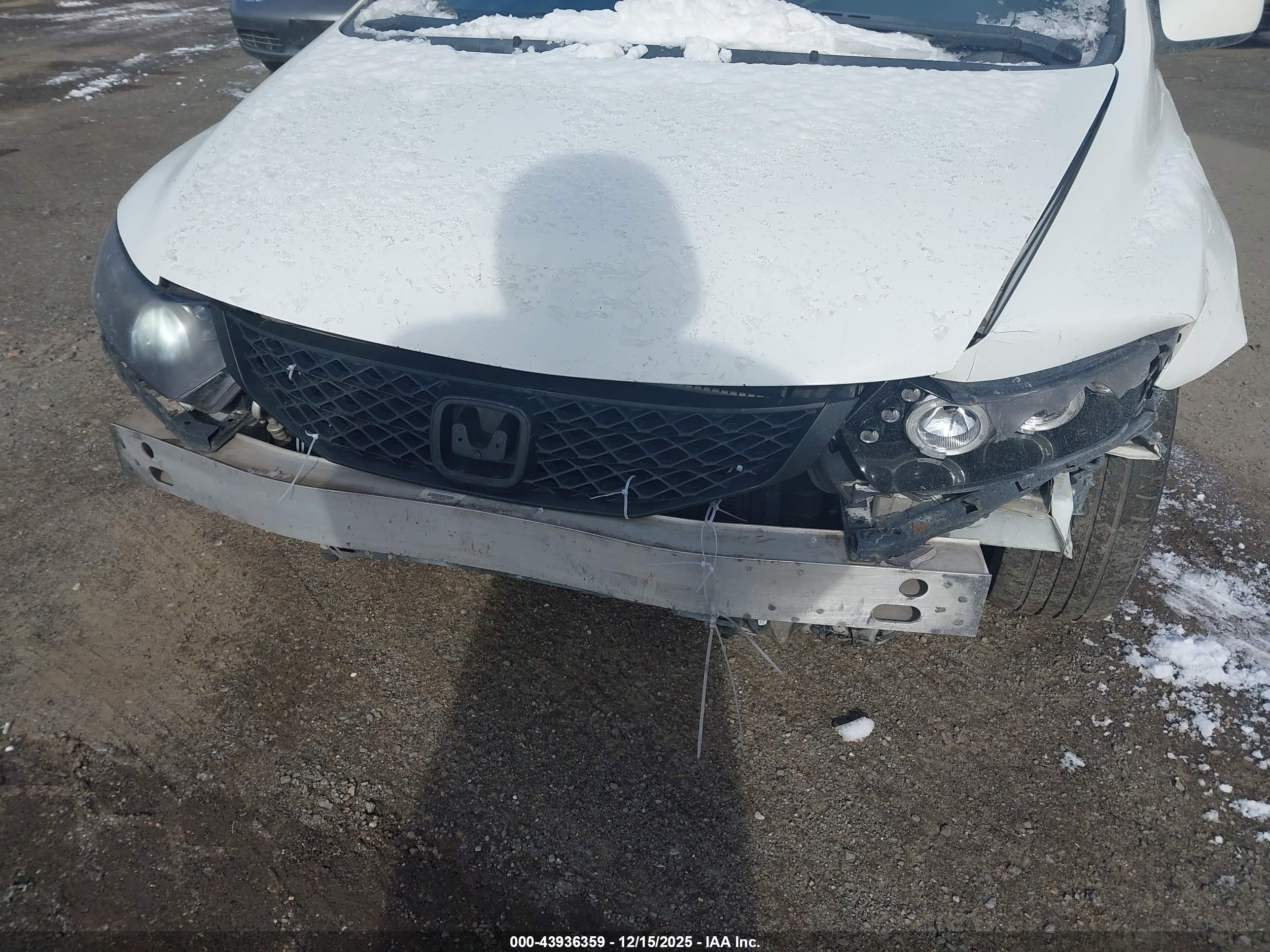 HONDA CIVIC image 6