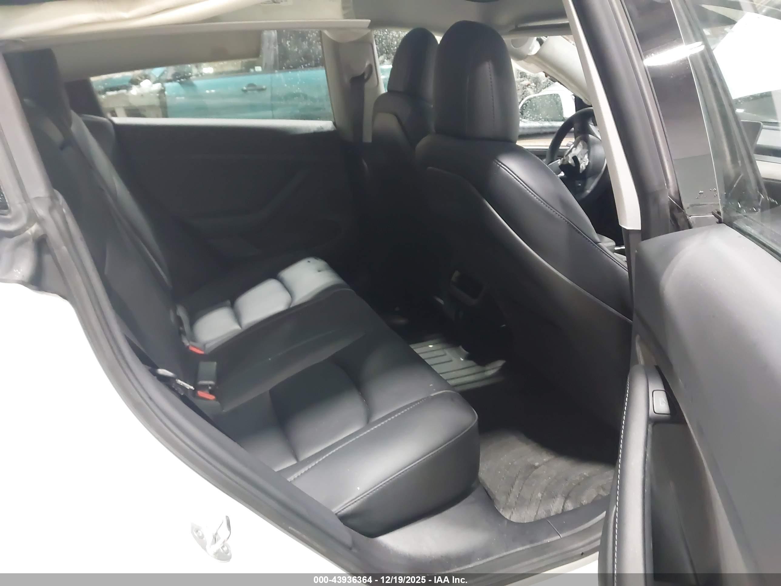 TESLA MODEL image 8