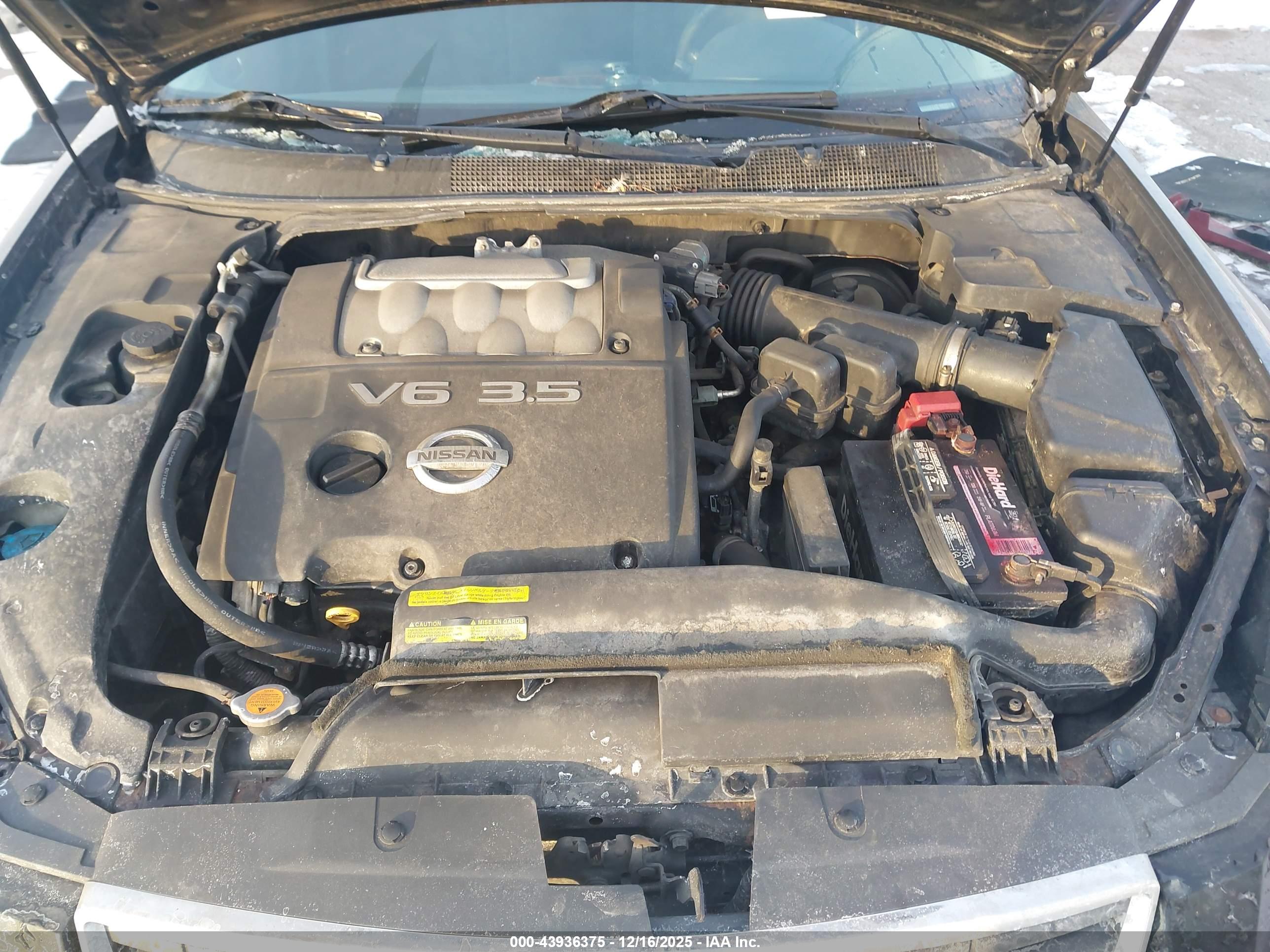 NISSAN MAXIMA image 10
