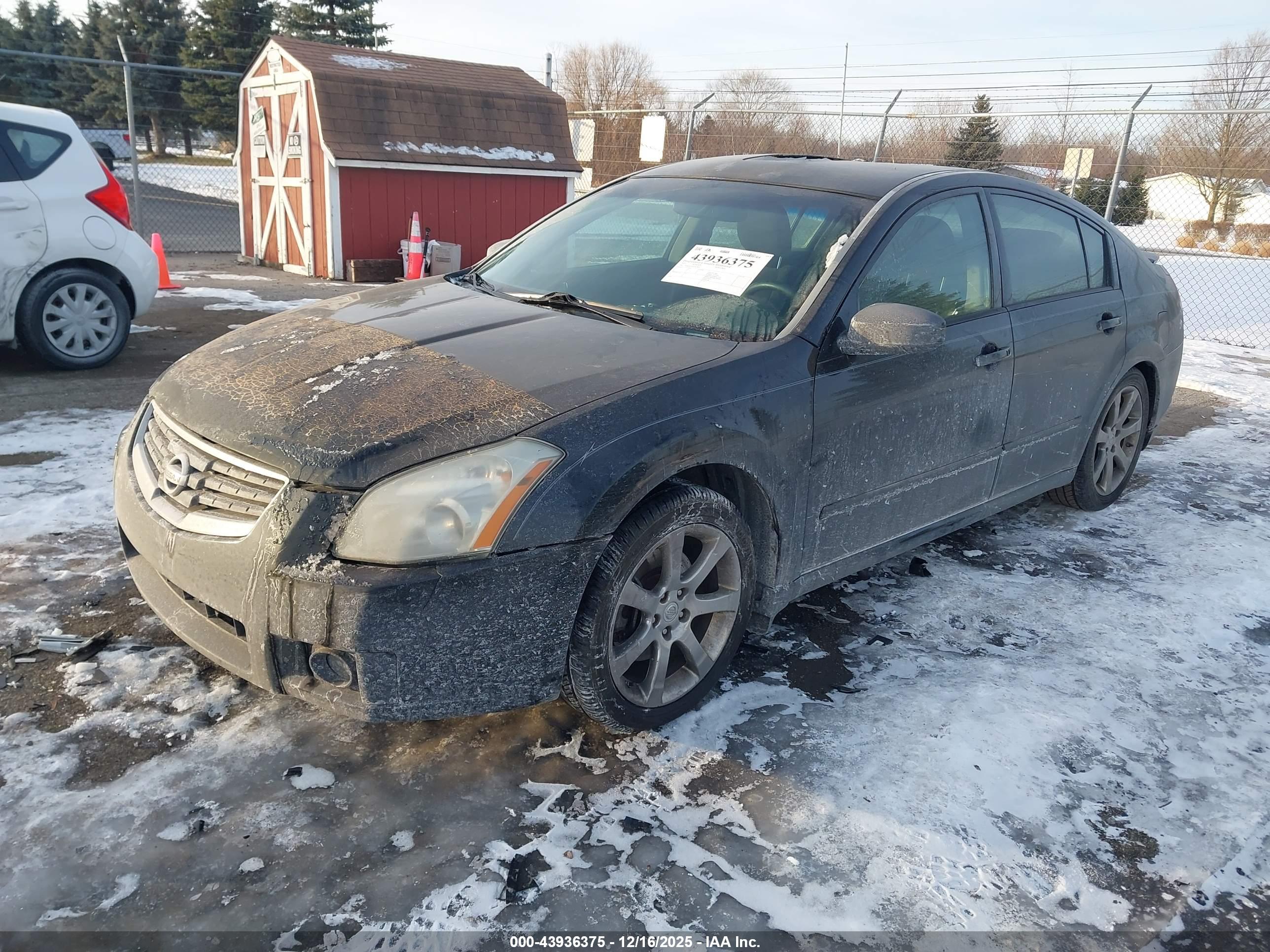 NISSAN MAXIMA image 2