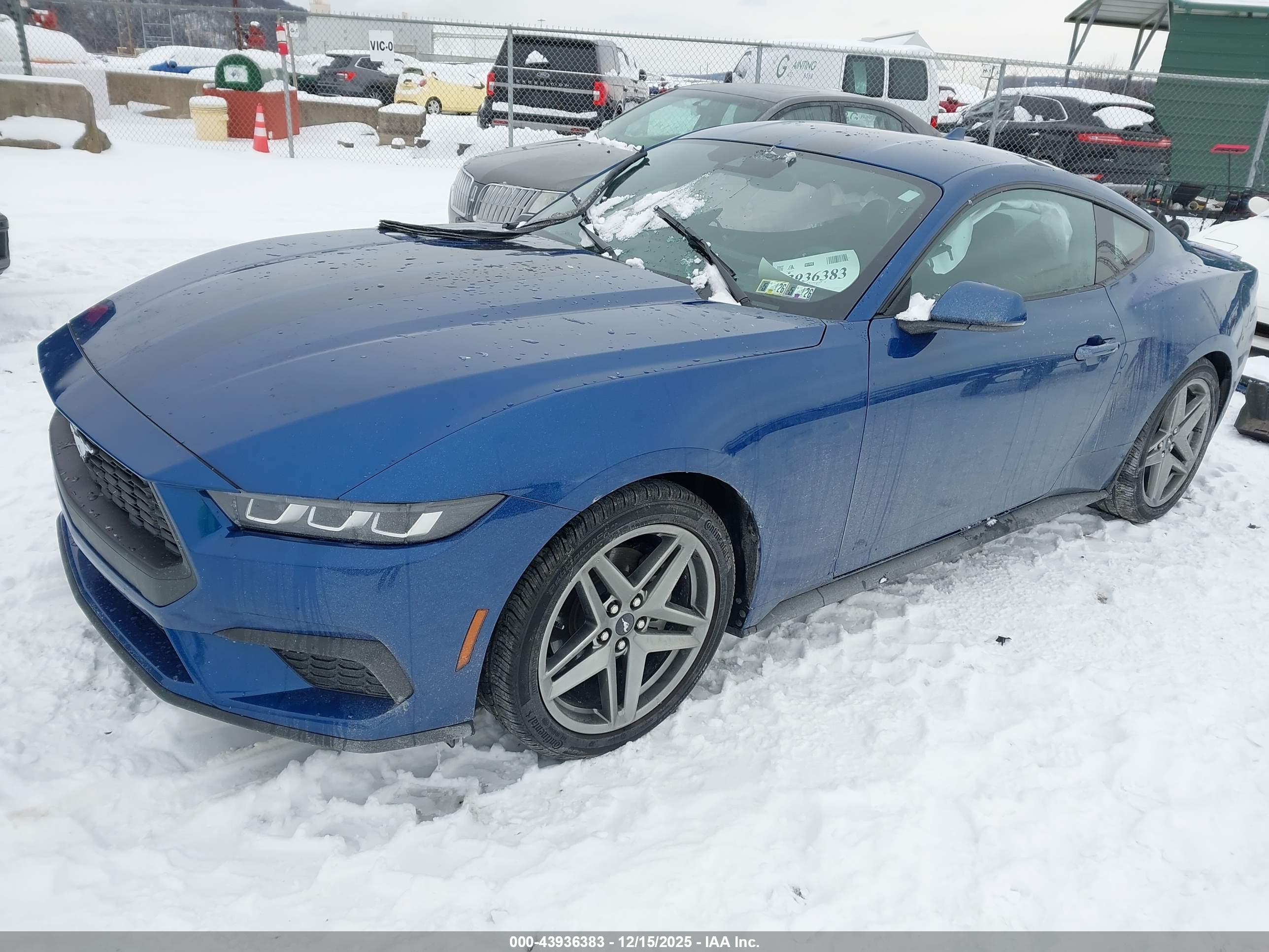 FORD MUSTANG image 2
