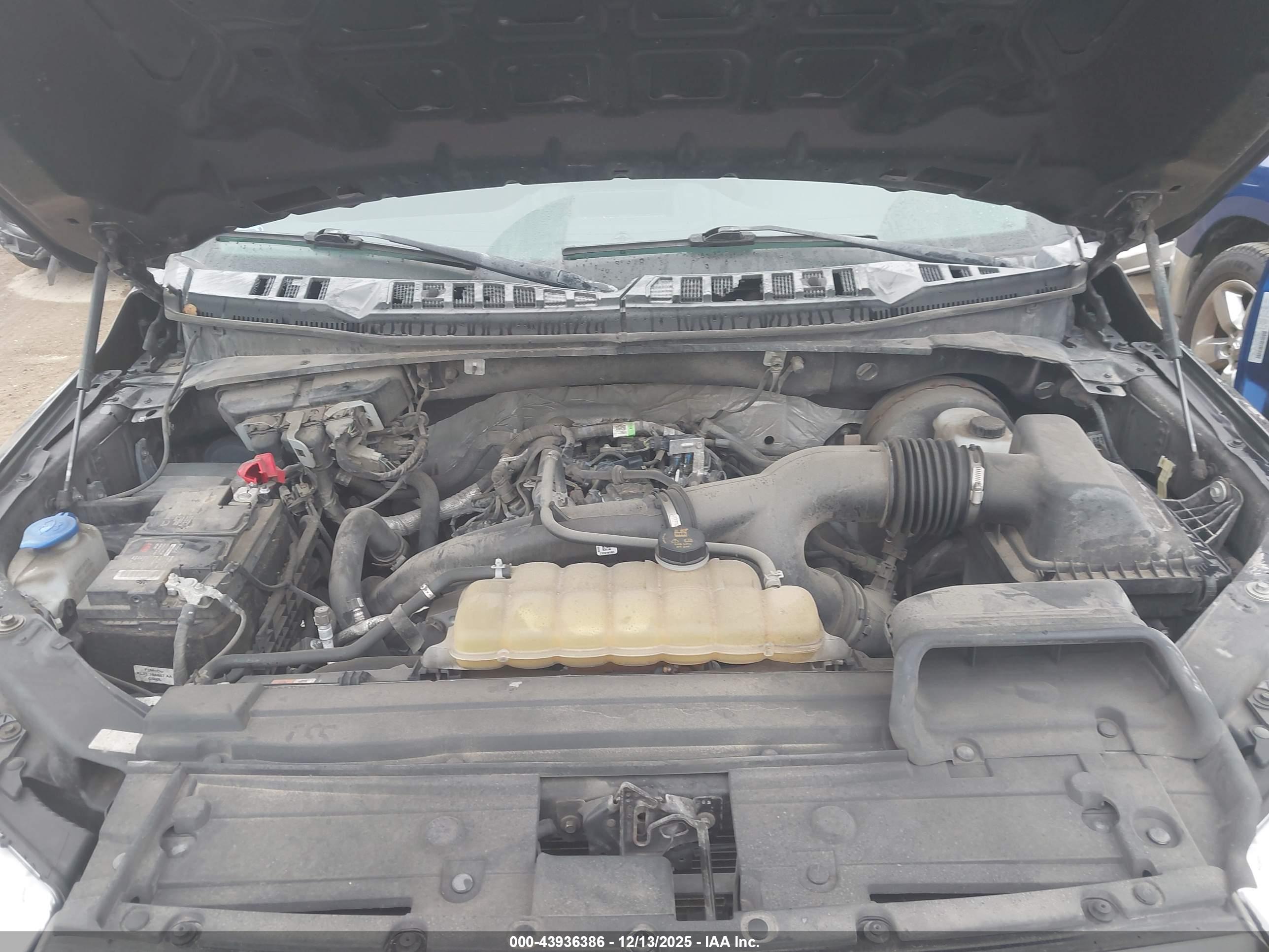 FORD F-150 image 10