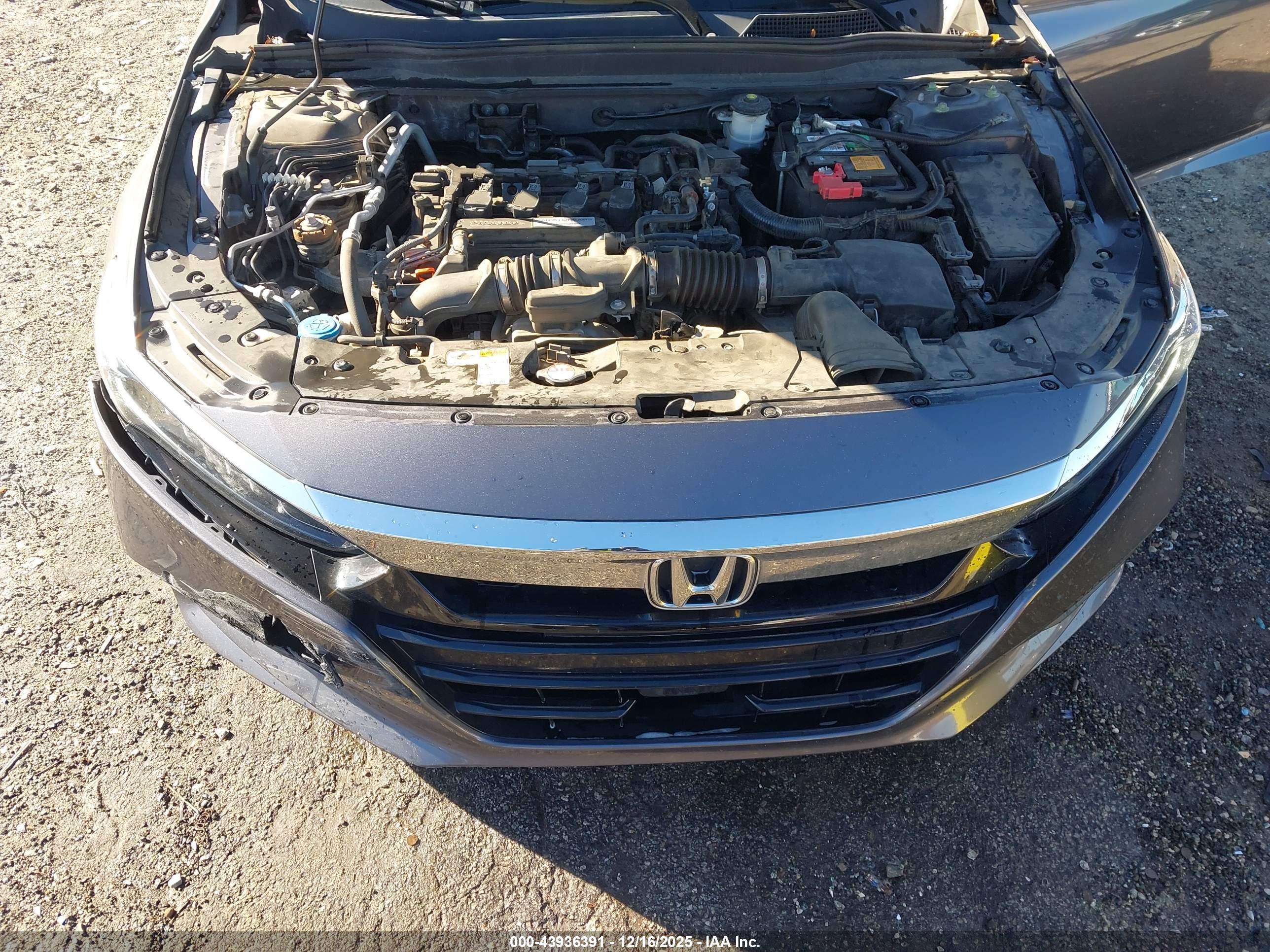 HONDA ACCORD image 10