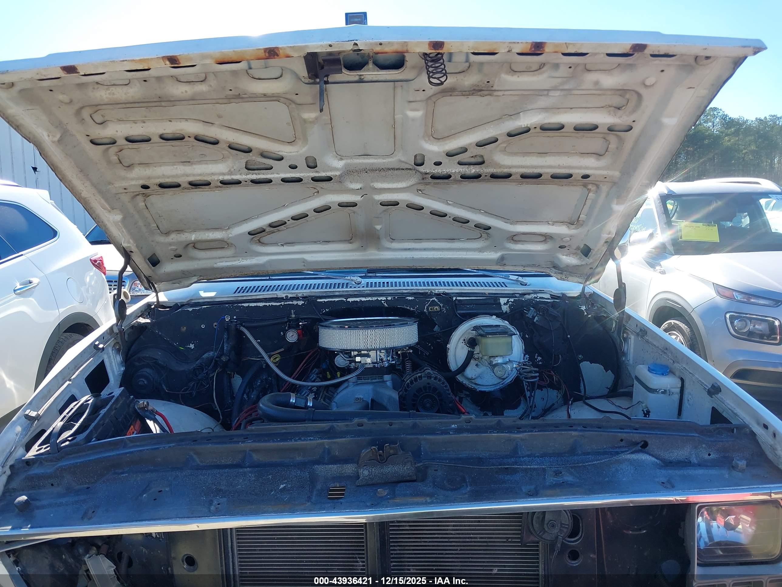 CHEVROLET C10 image 10