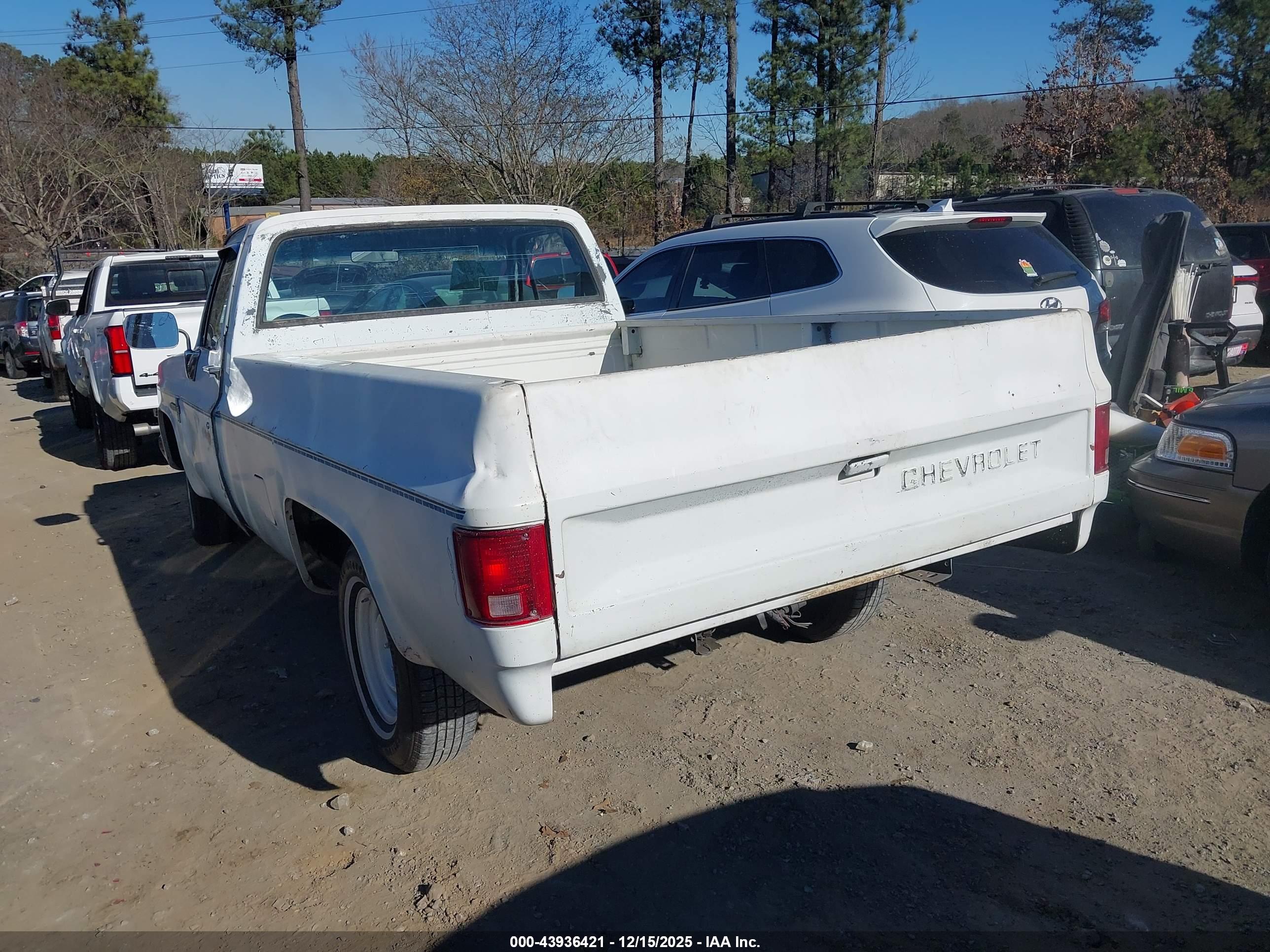CHEVROLET C10 image 3