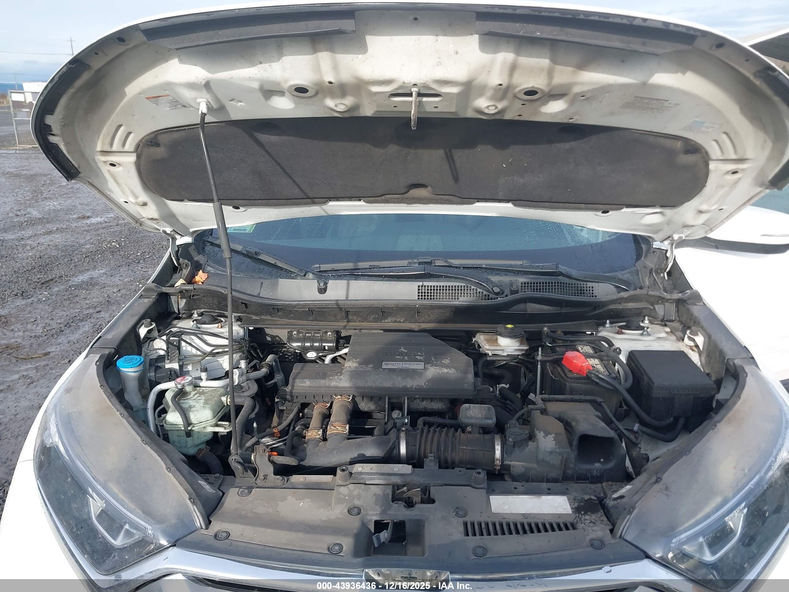 HONDA CR-V image 10