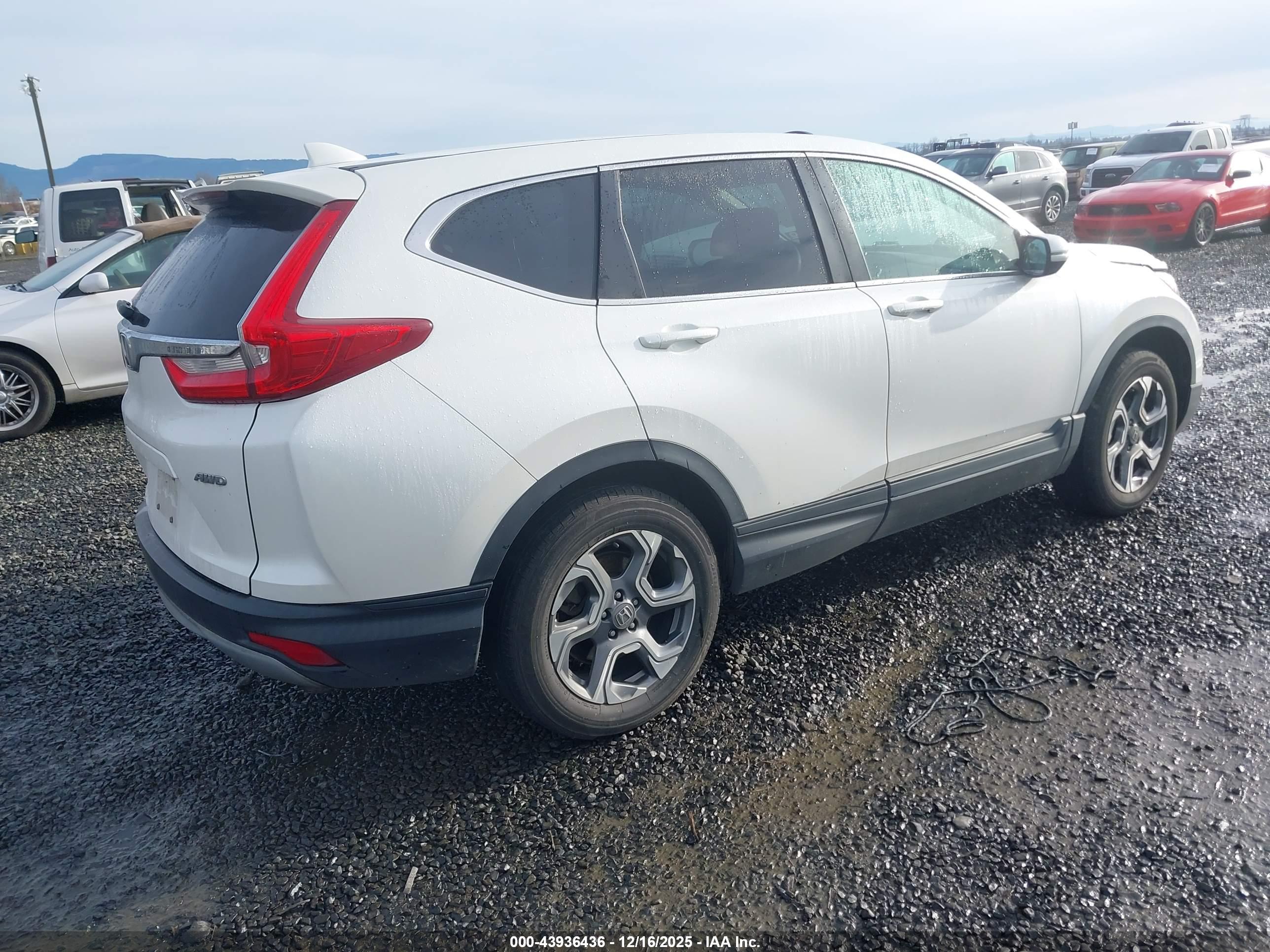 HONDA CR-V image 4