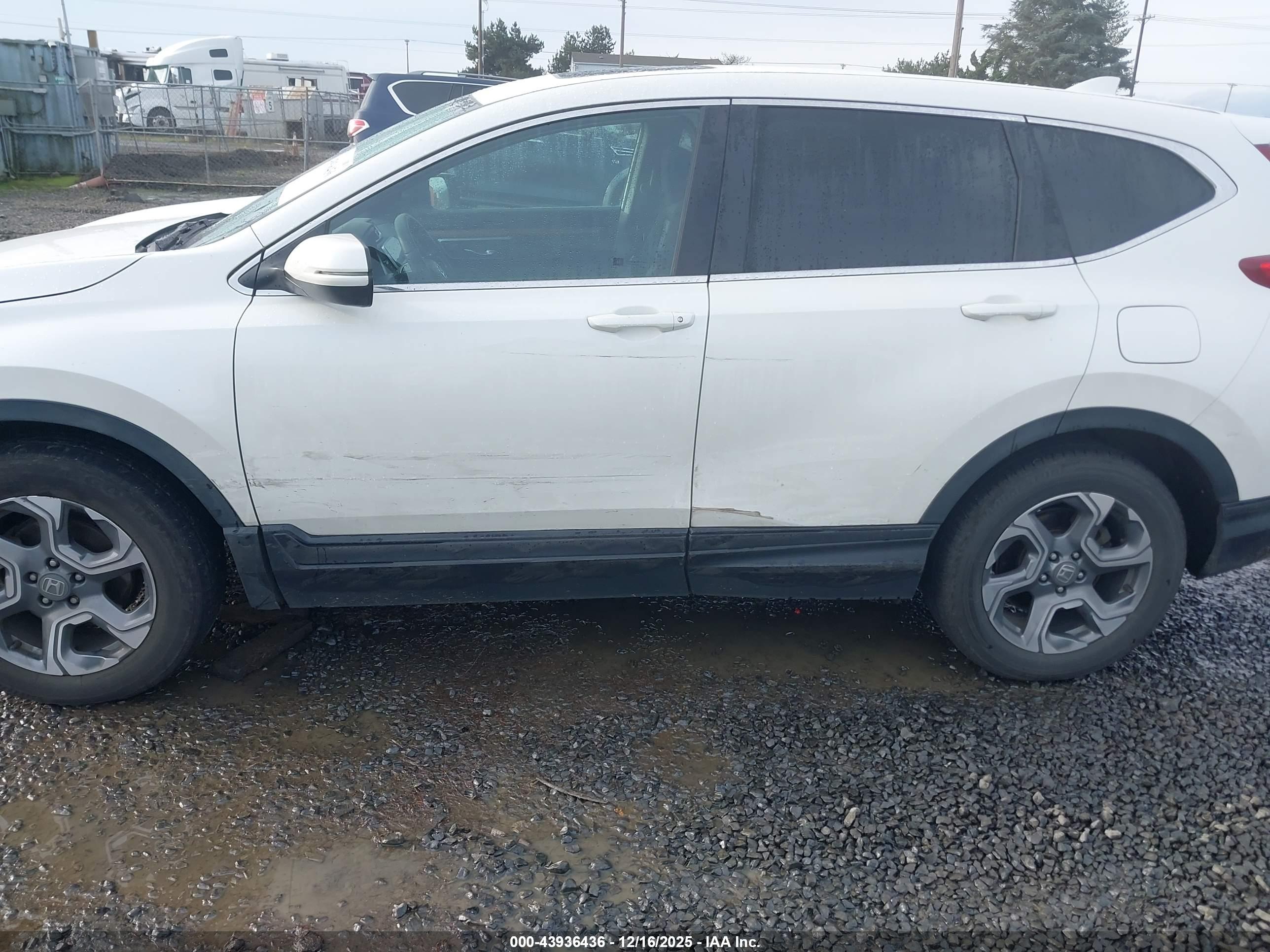 HONDA CR-V image 6