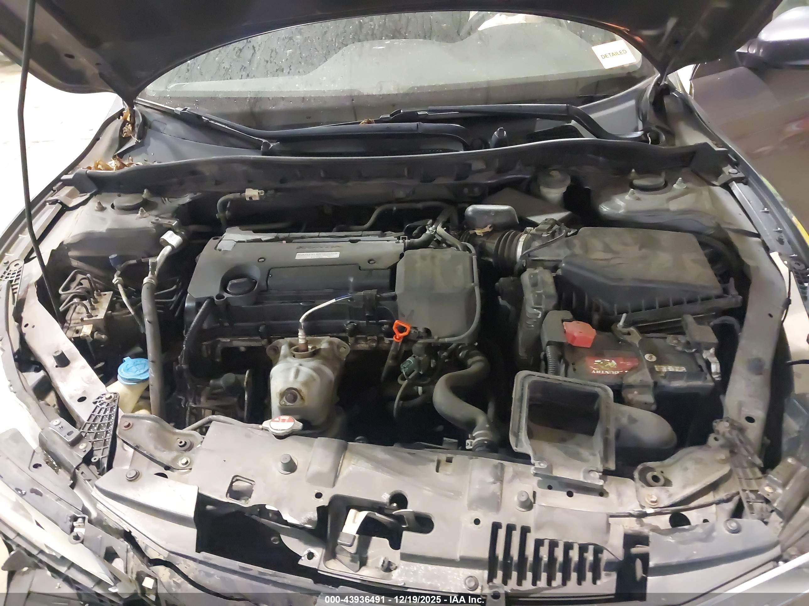HONDA ACCORD image 10