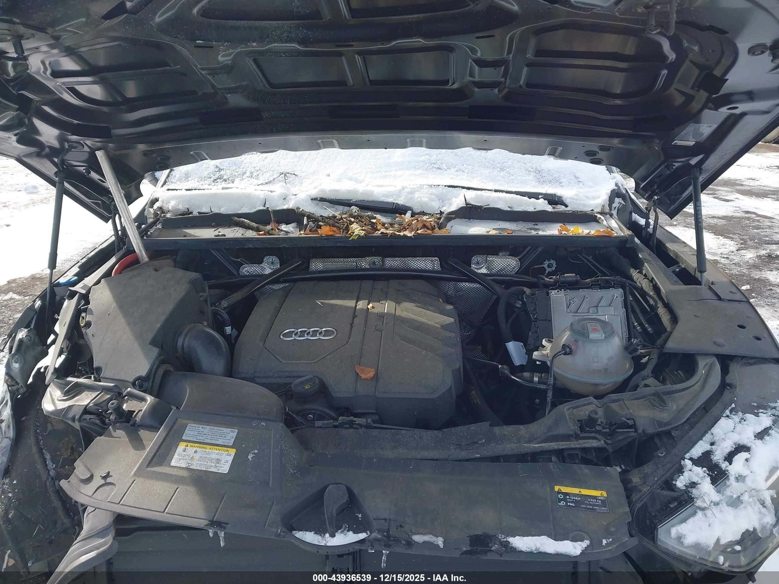 AUDI Q5 image 10