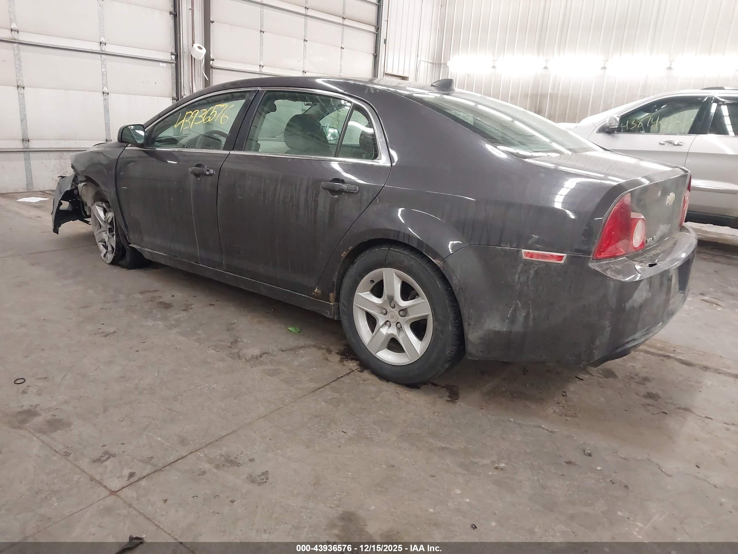 CHEVROLET MALIBU image 3