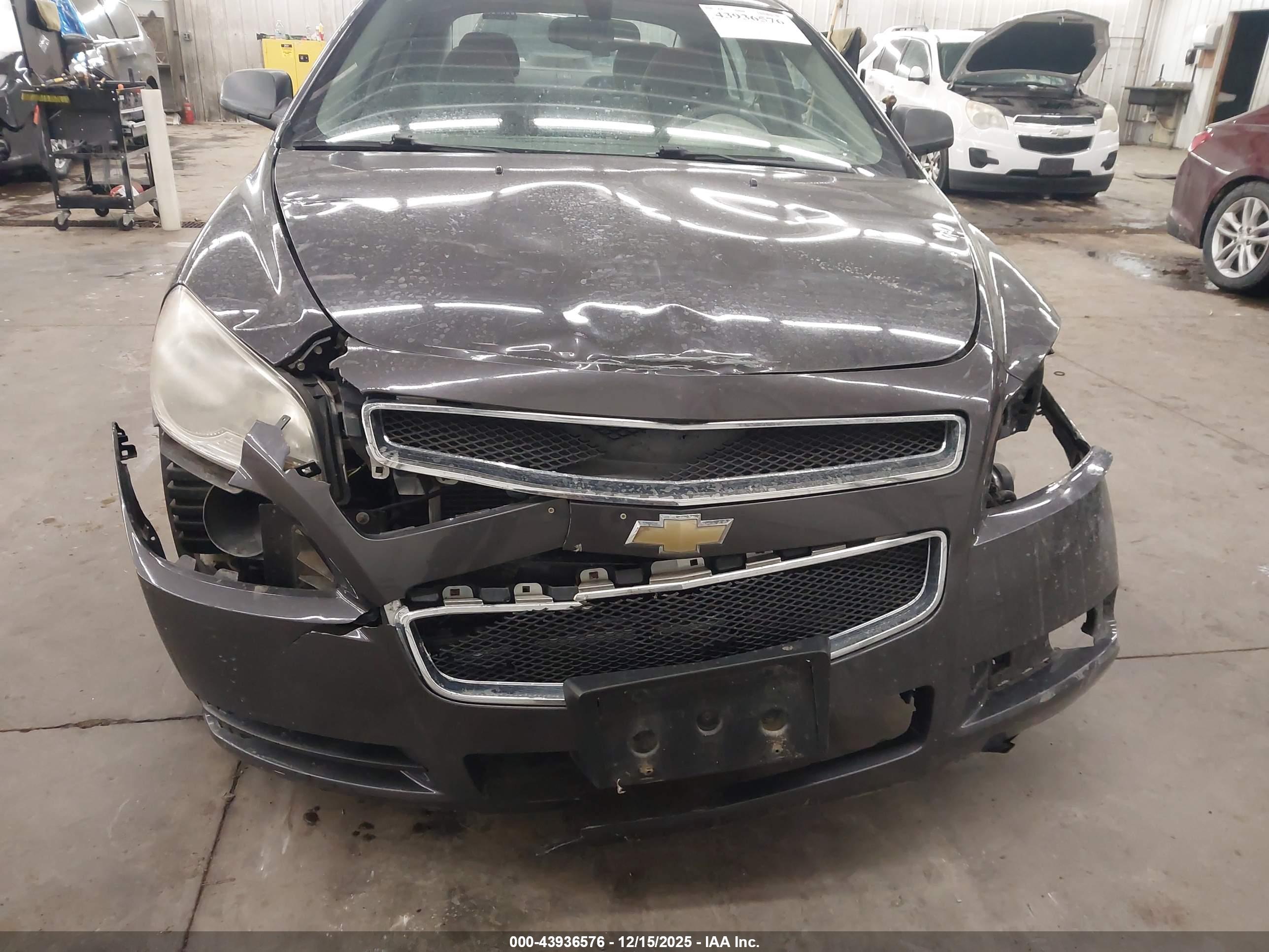 CHEVROLET MALIBU image 6