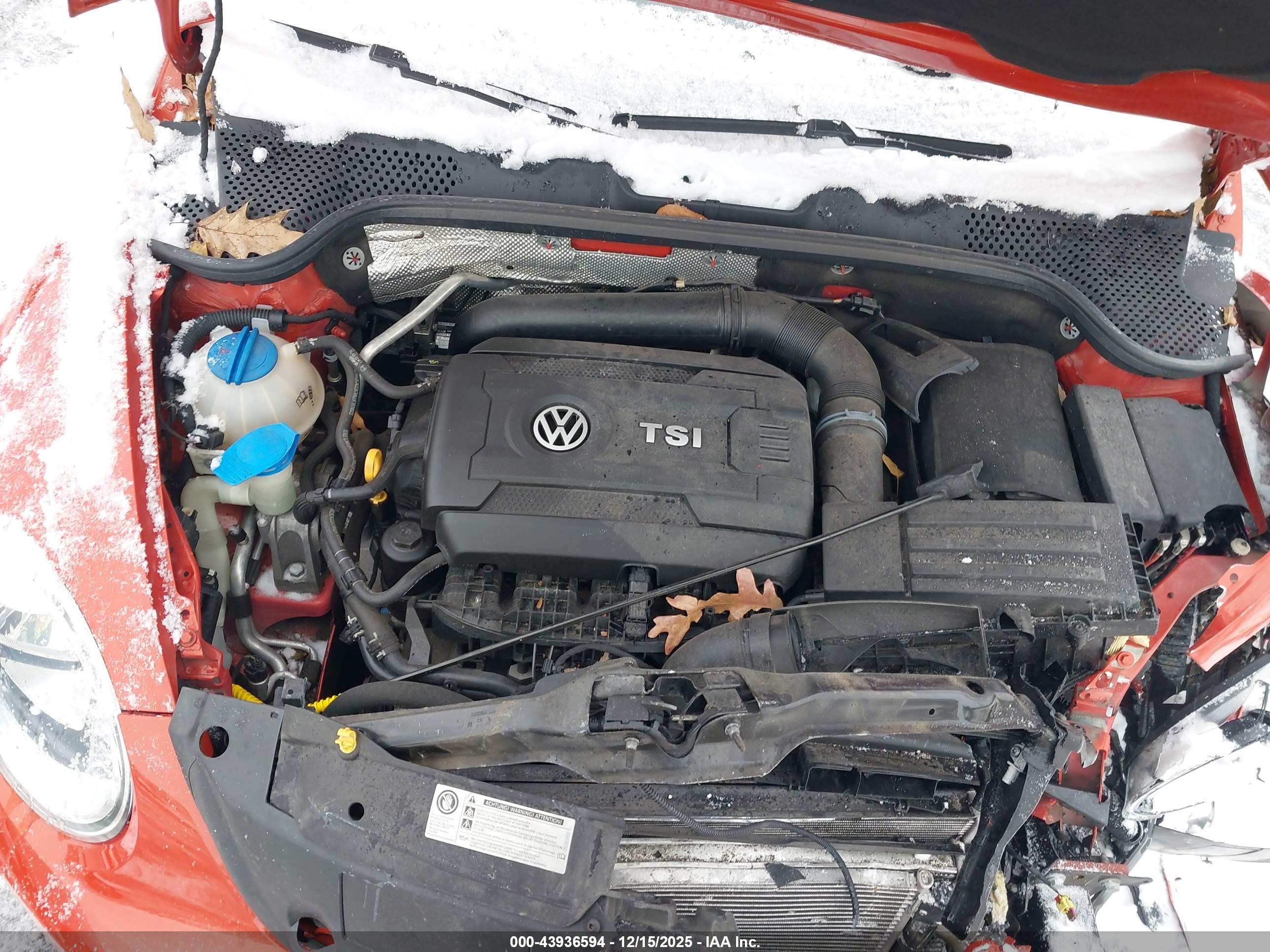 VOLKSWAGEN BEETLE image 10