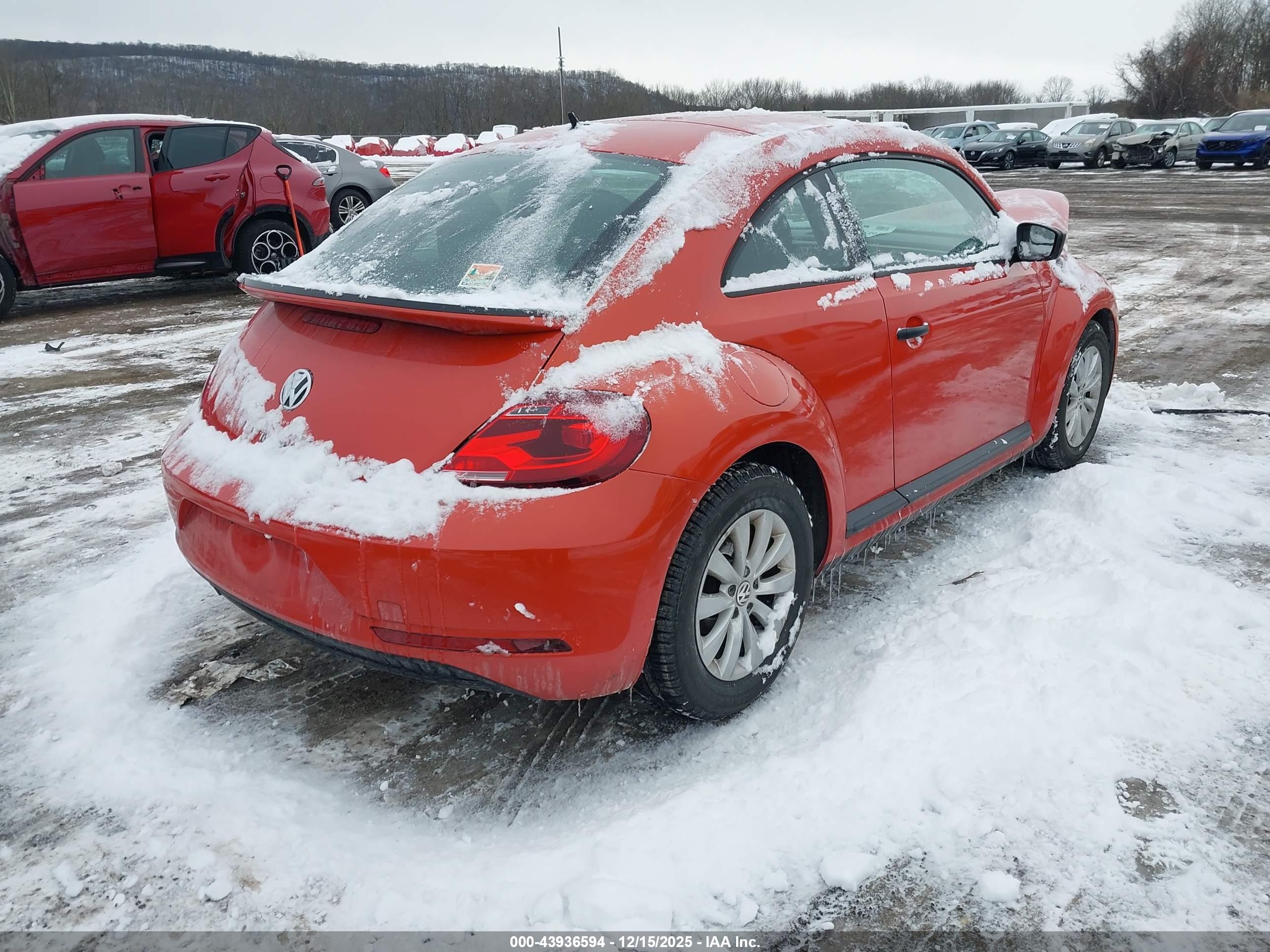 VOLKSWAGEN BEETLE image 4