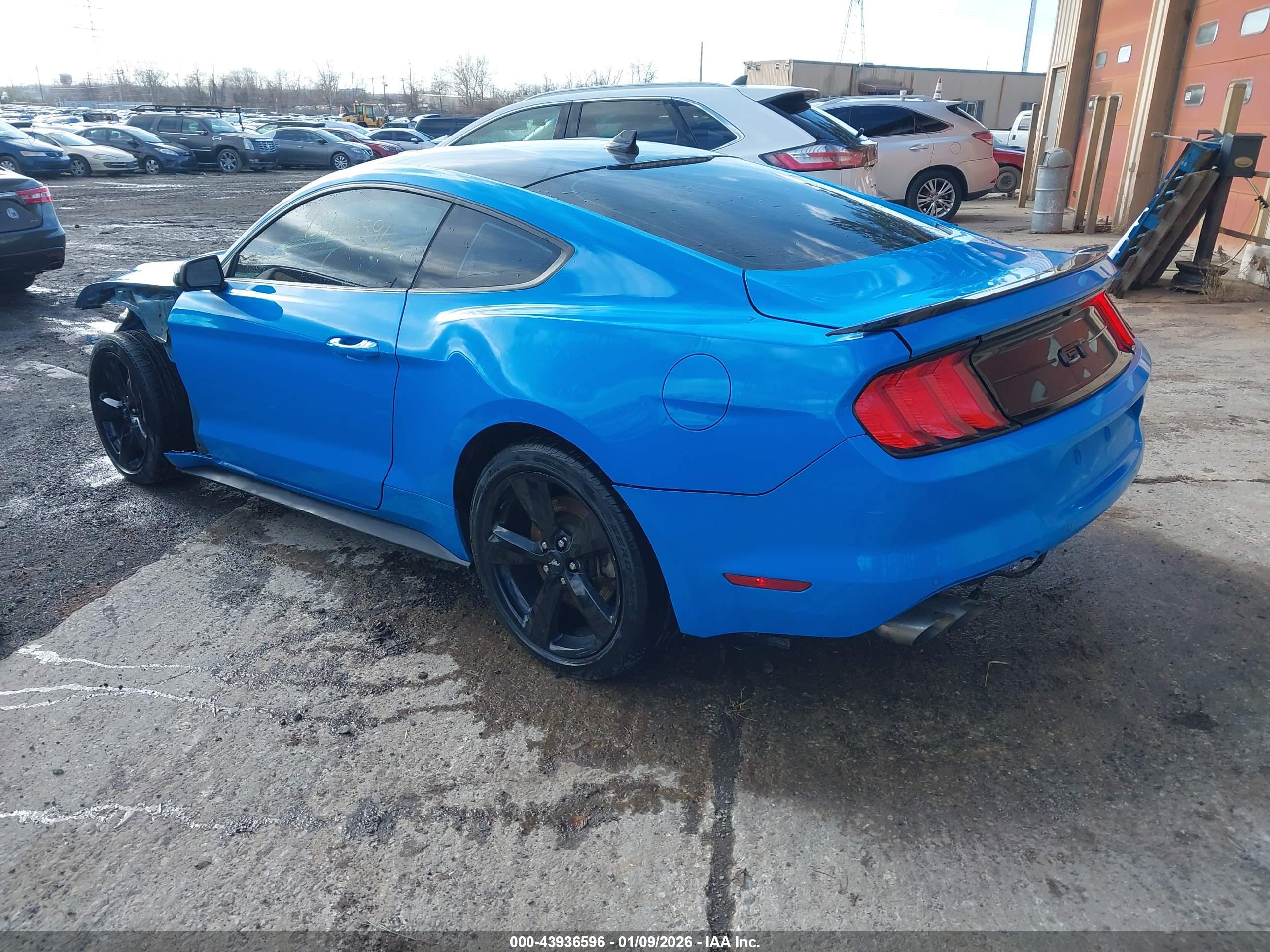FORD MUSTANG image 3