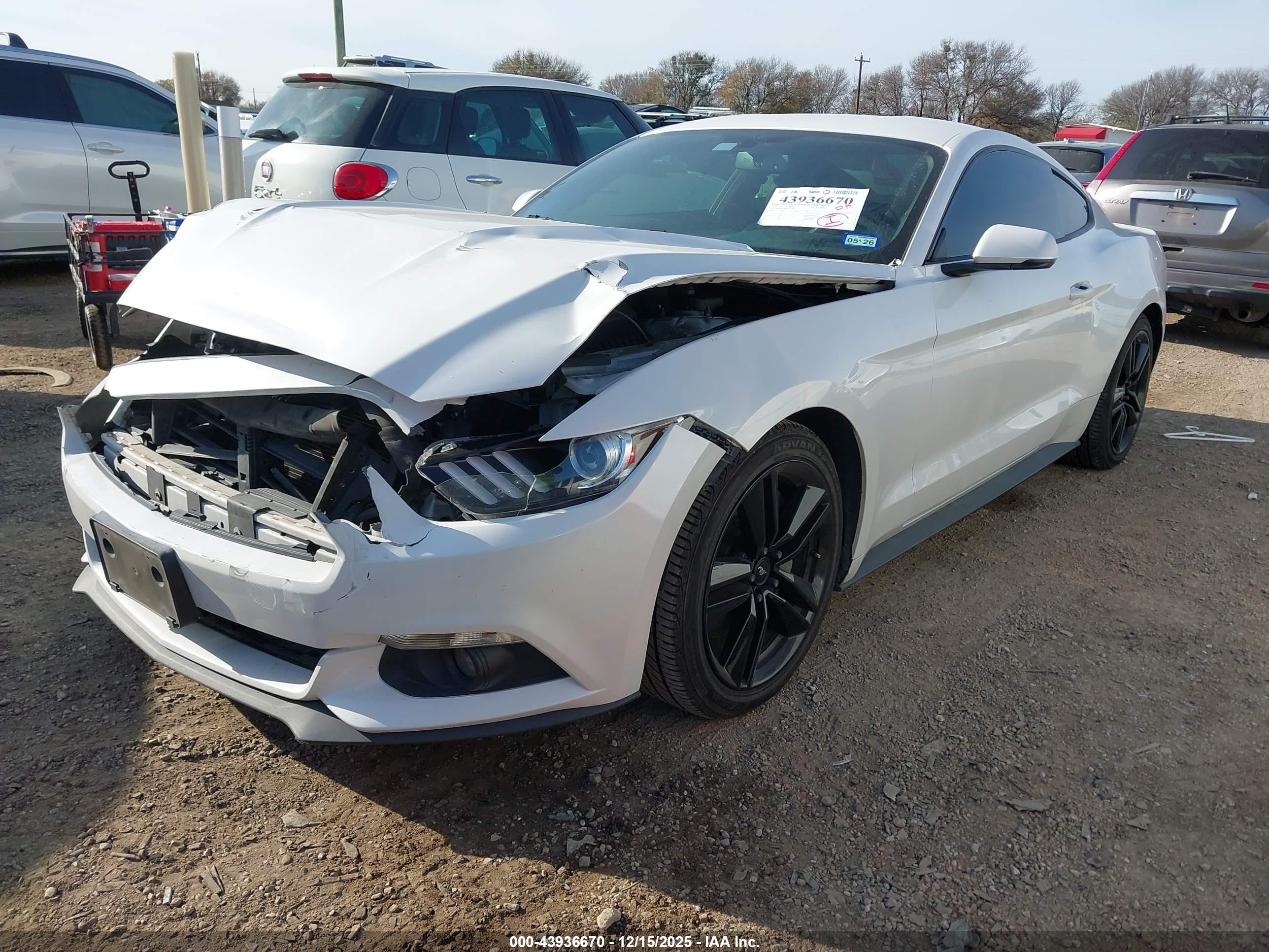 FORD MUSTANG image 2