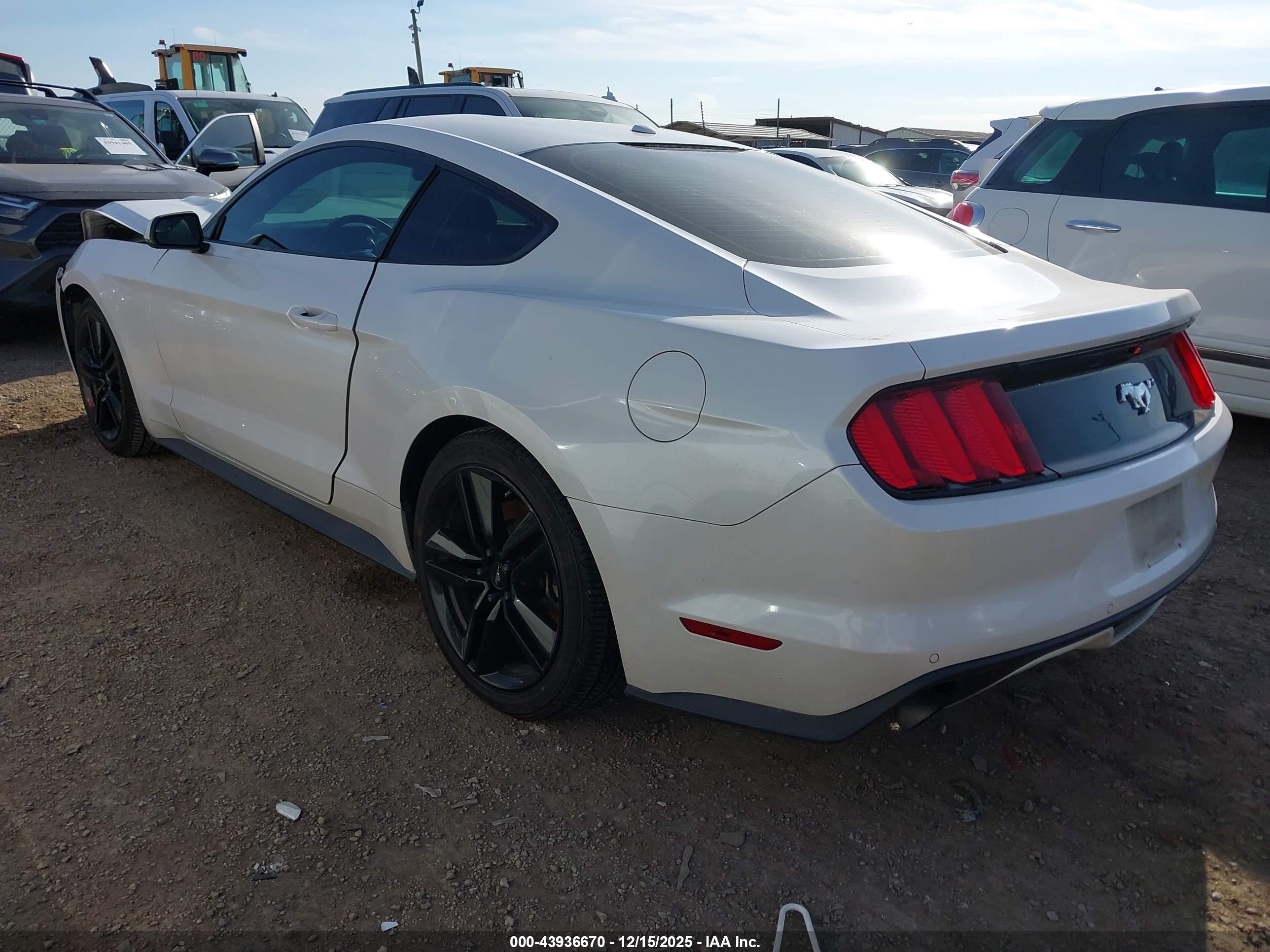 FORD MUSTANG image 3