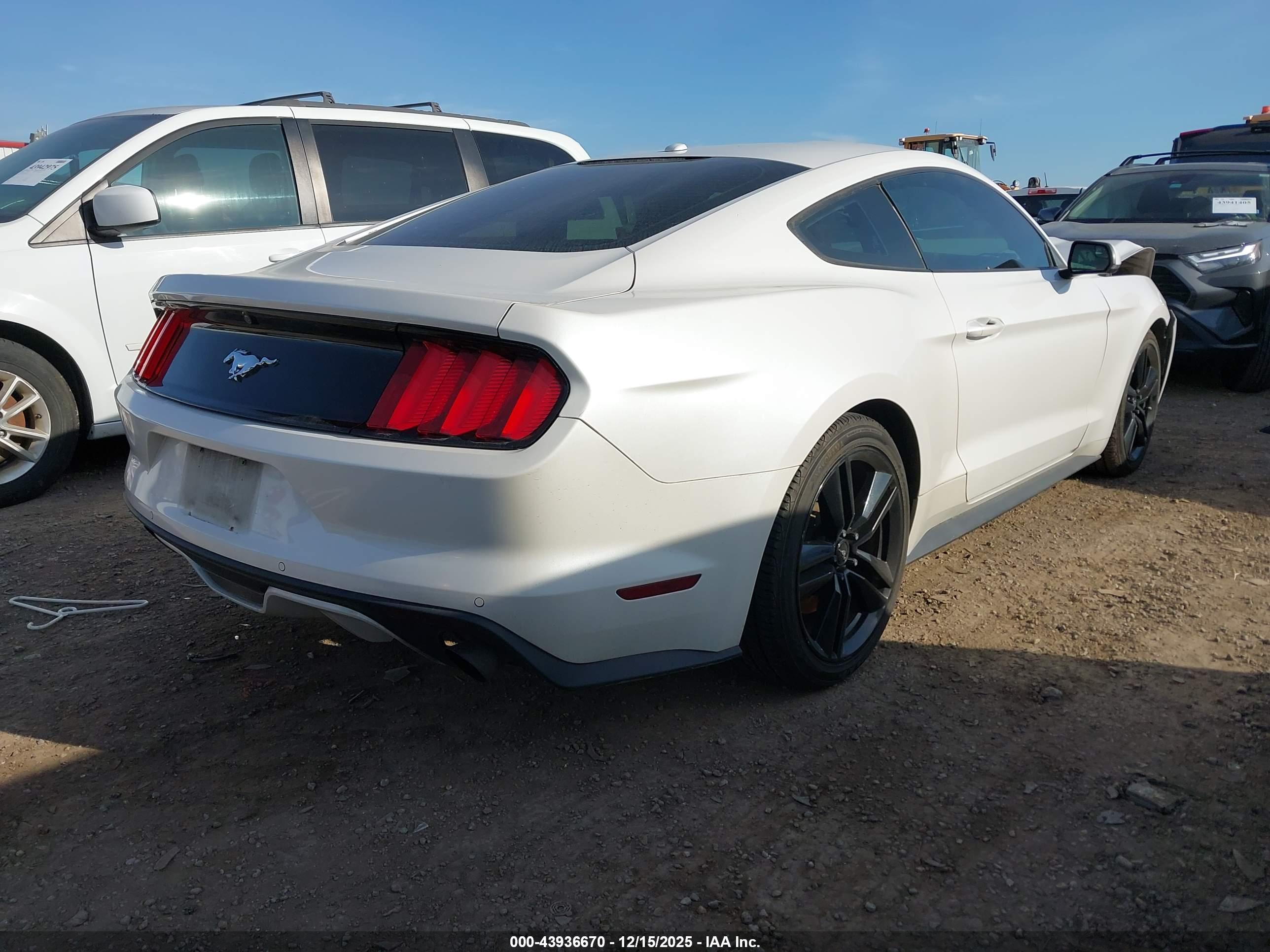 FORD MUSTANG image 4