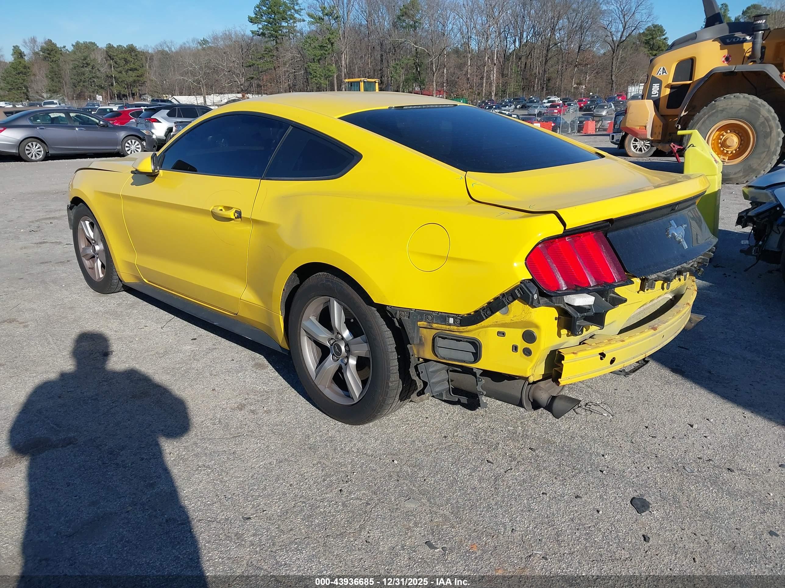 FORD MUSTANG image 3