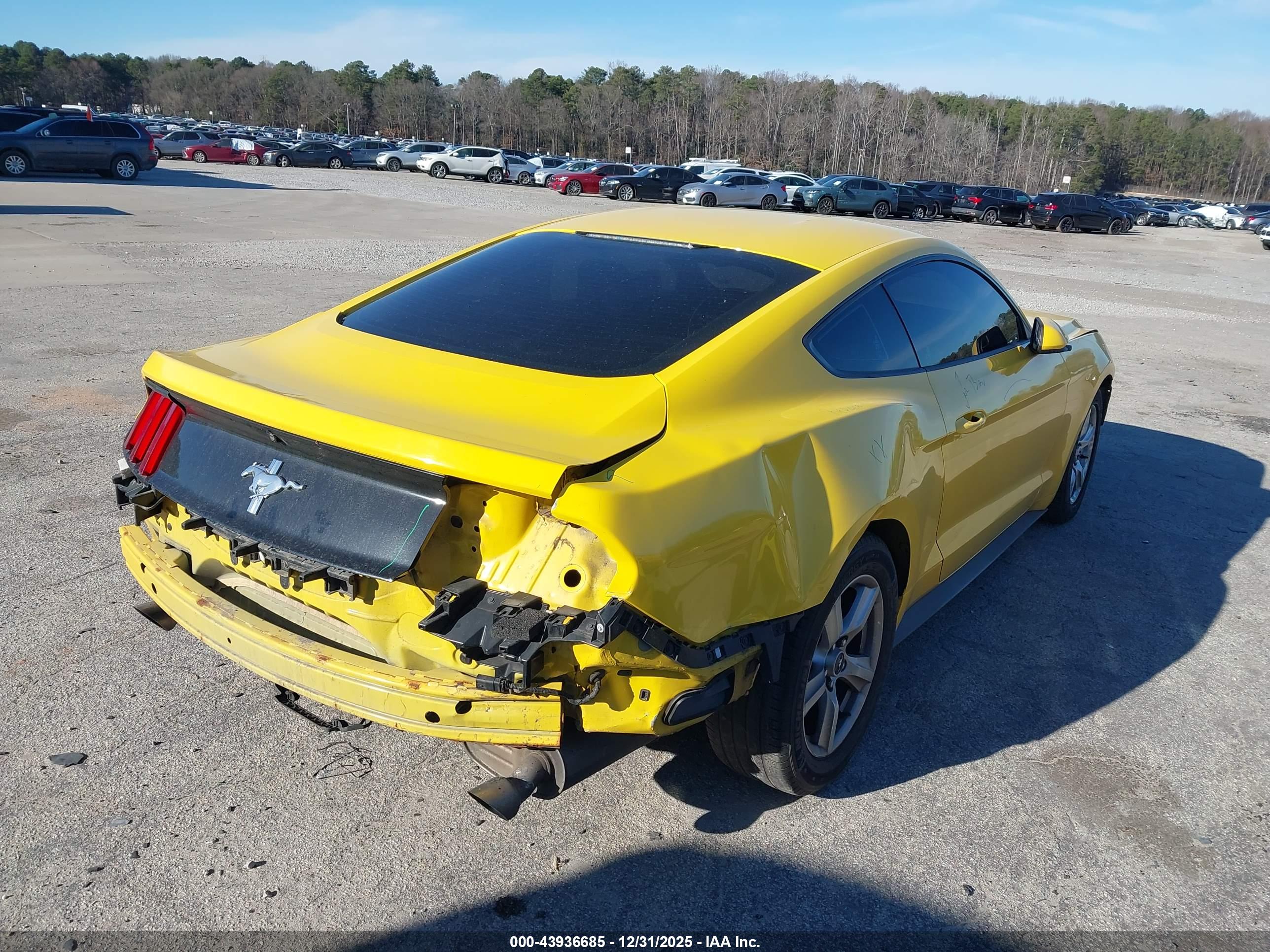 FORD MUSTANG image 4