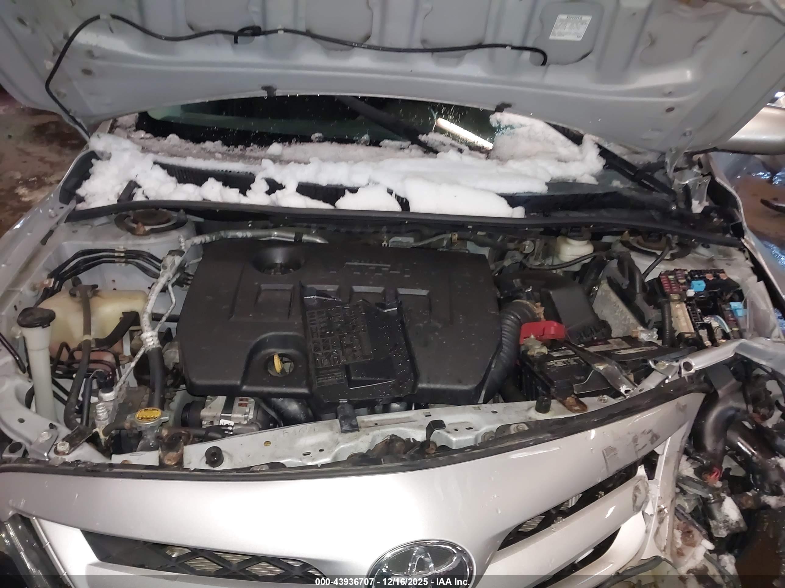 TOYOTA COROLLA image 10