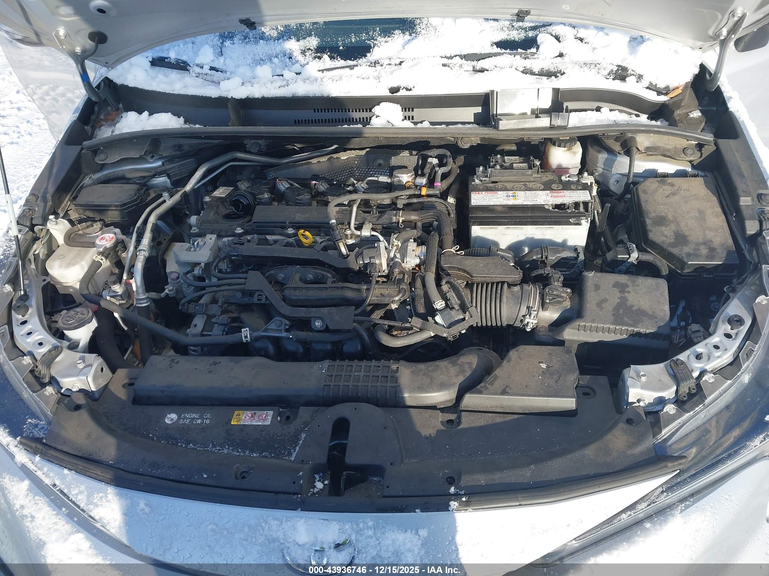 TOYOTA COROLLA image 10