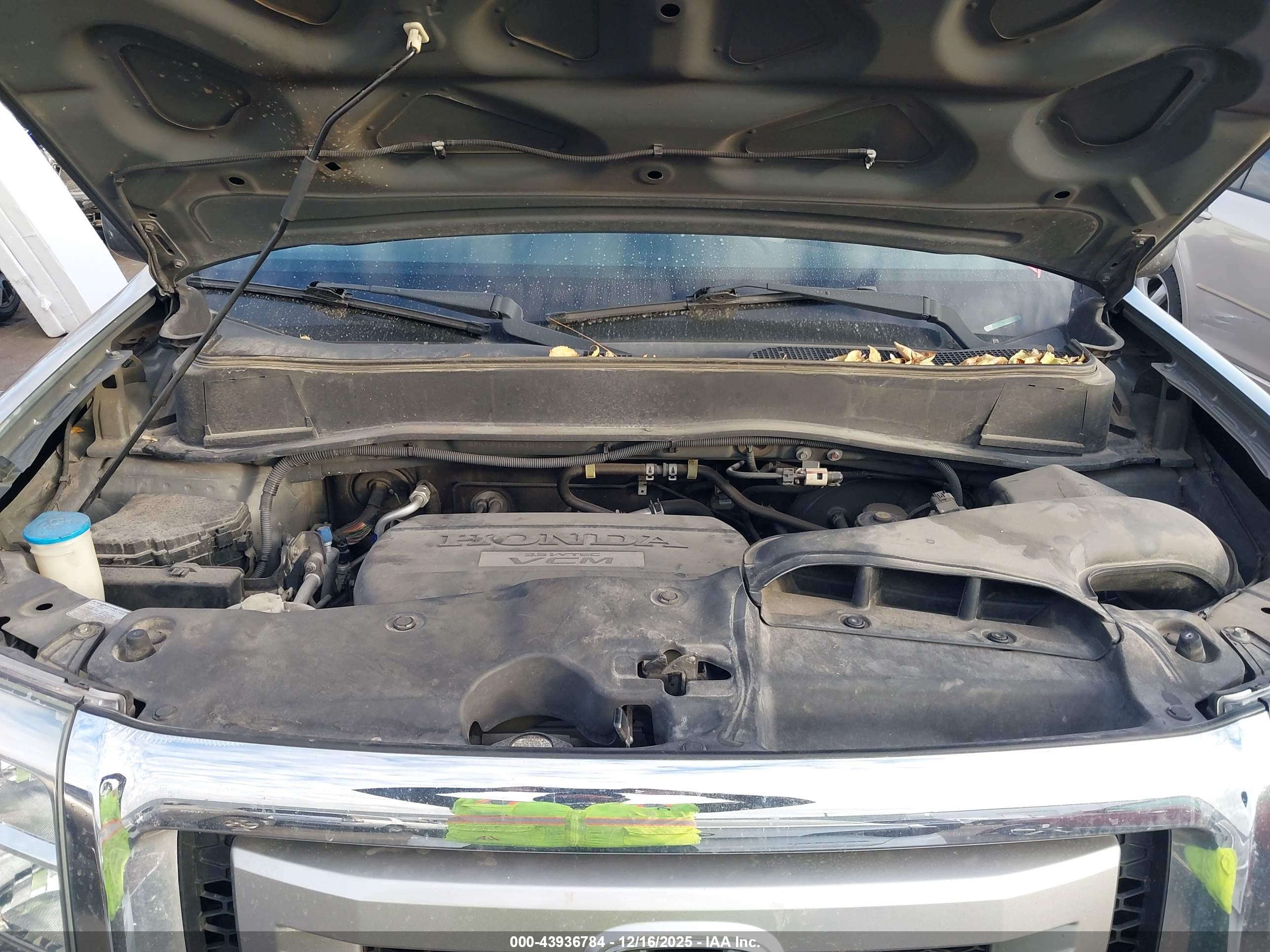 HONDA PILOT image 10