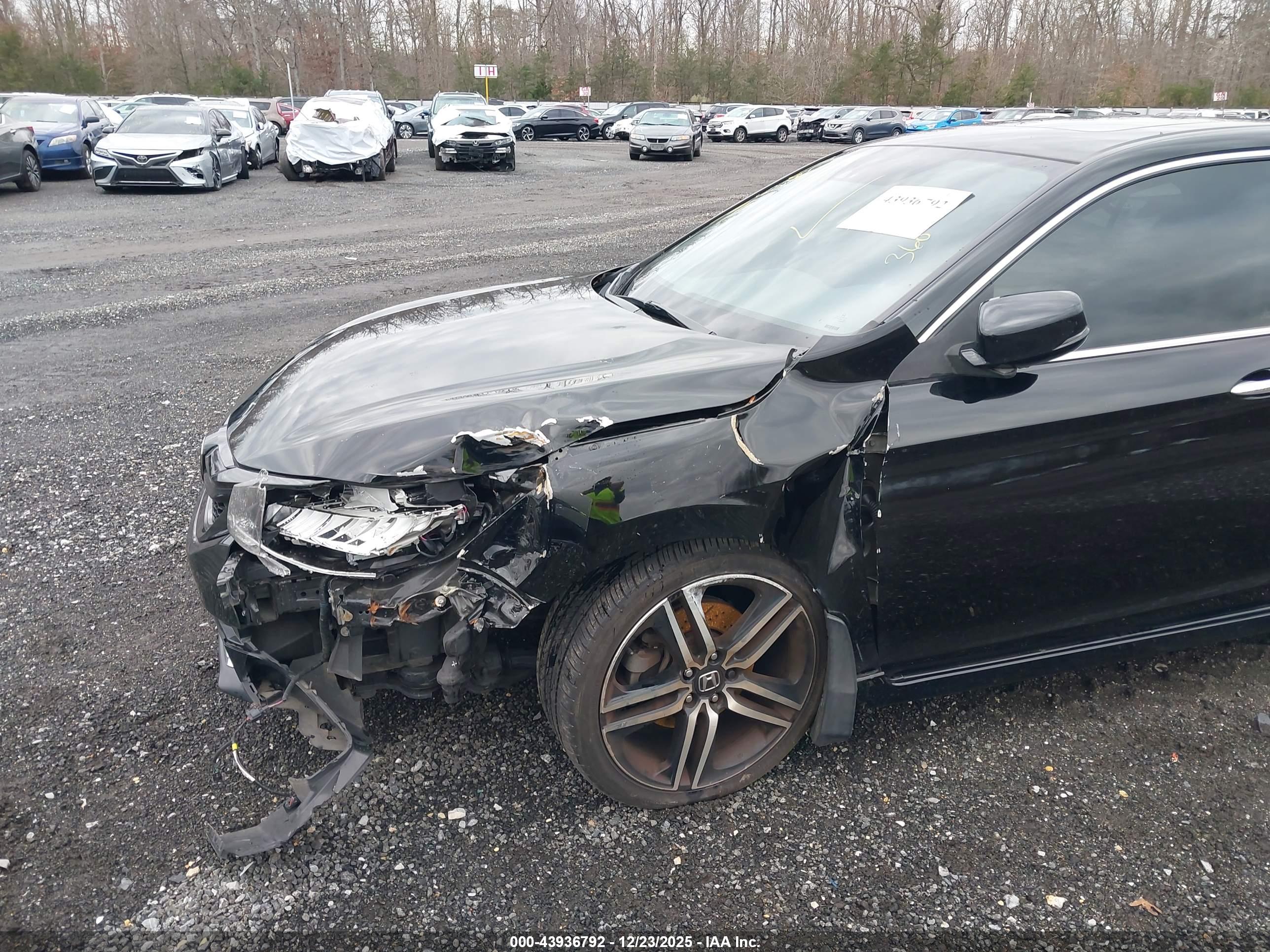 HONDA ACCORD image 6