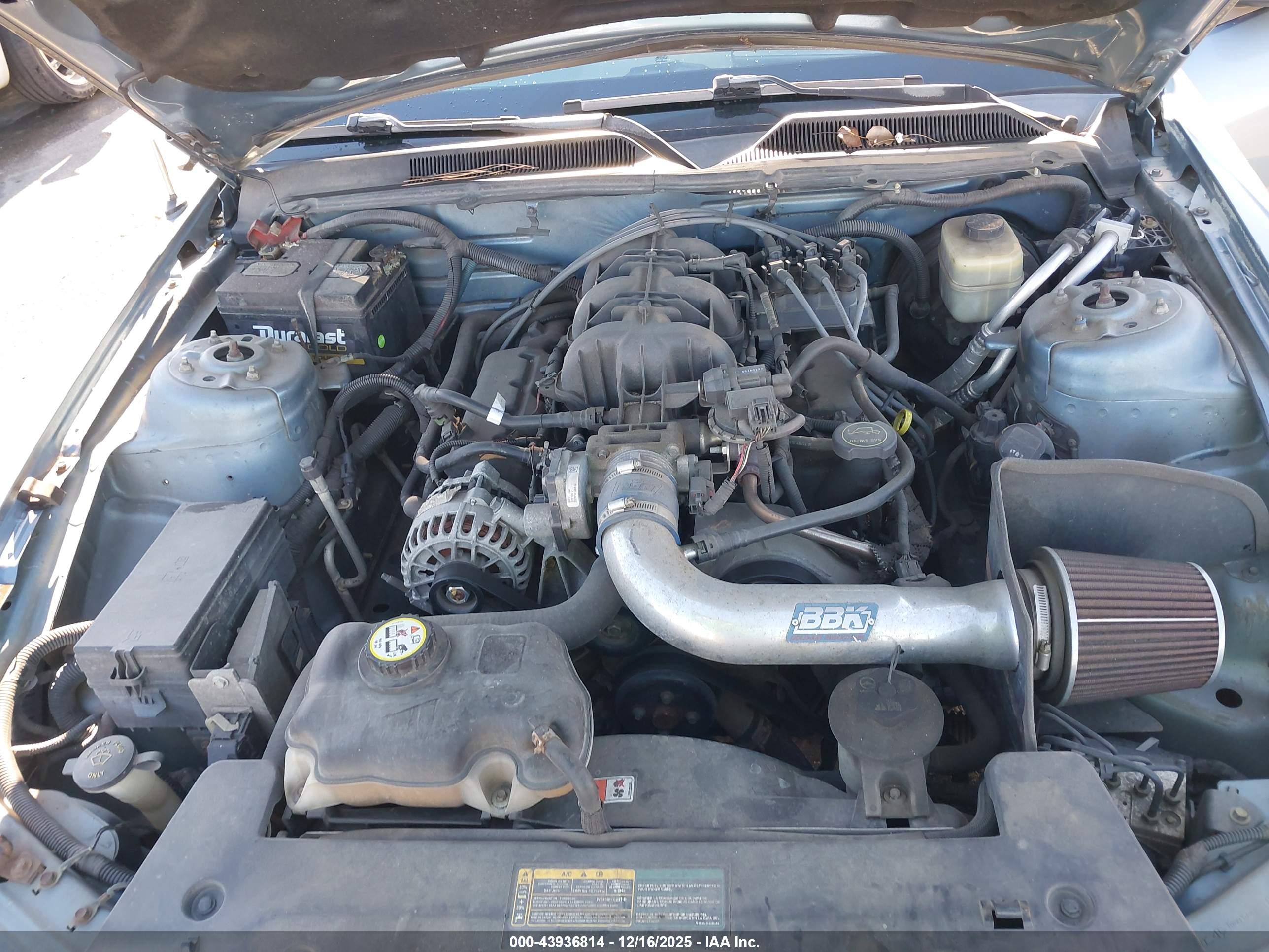 FORD MUSTANG image 10