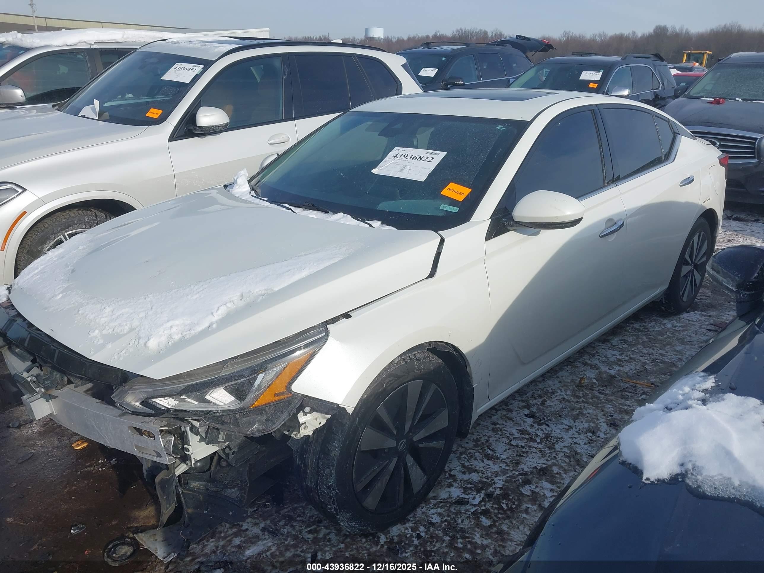 NISSAN ALTIMA image 2