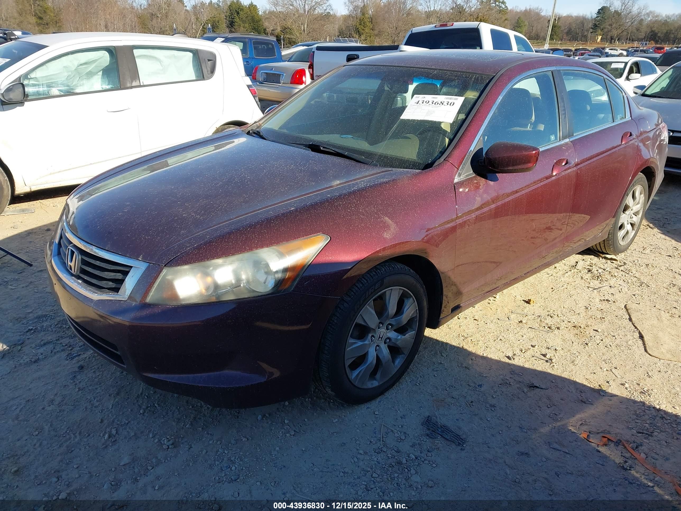 HONDA ACCORD image 2