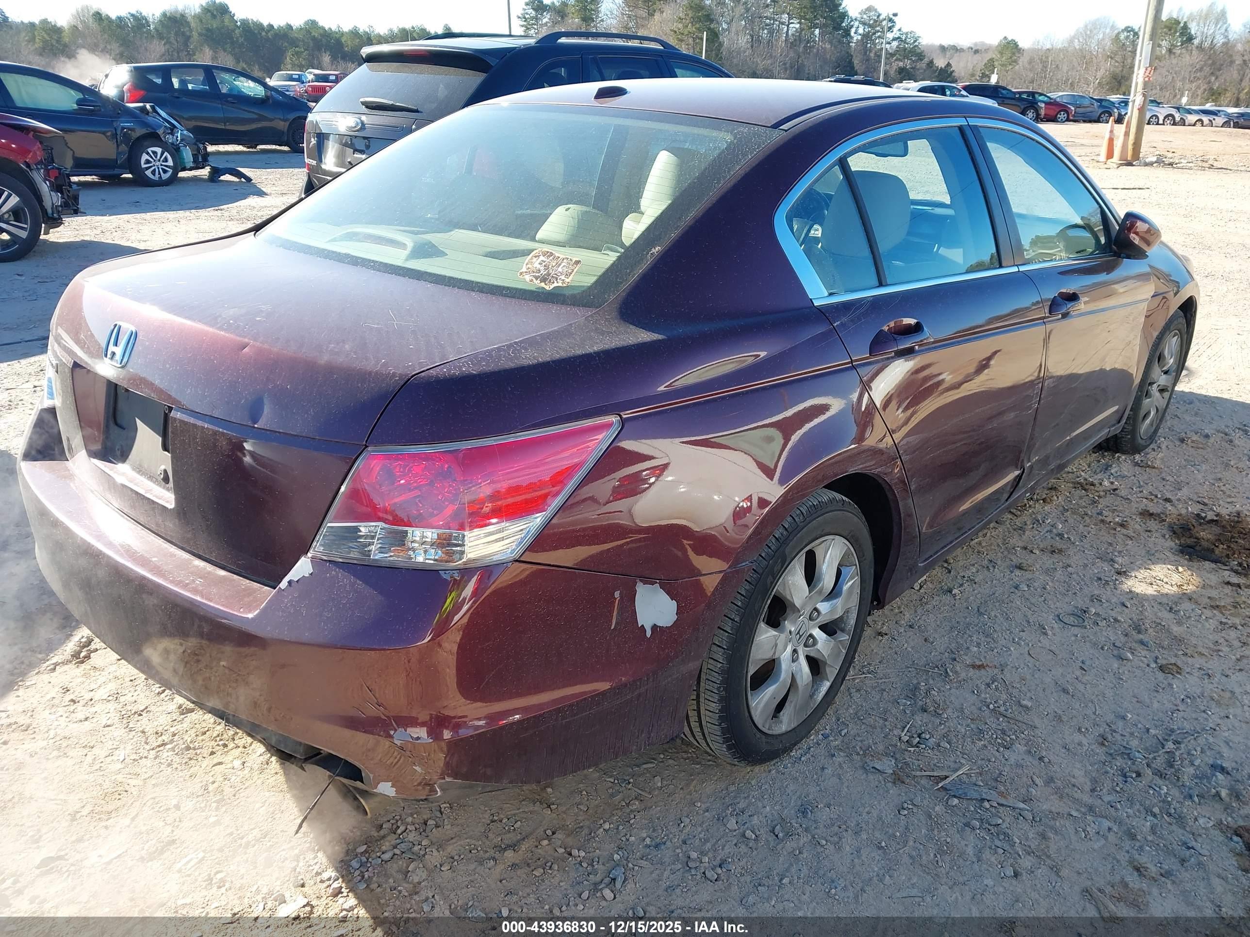 HONDA ACCORD image 4