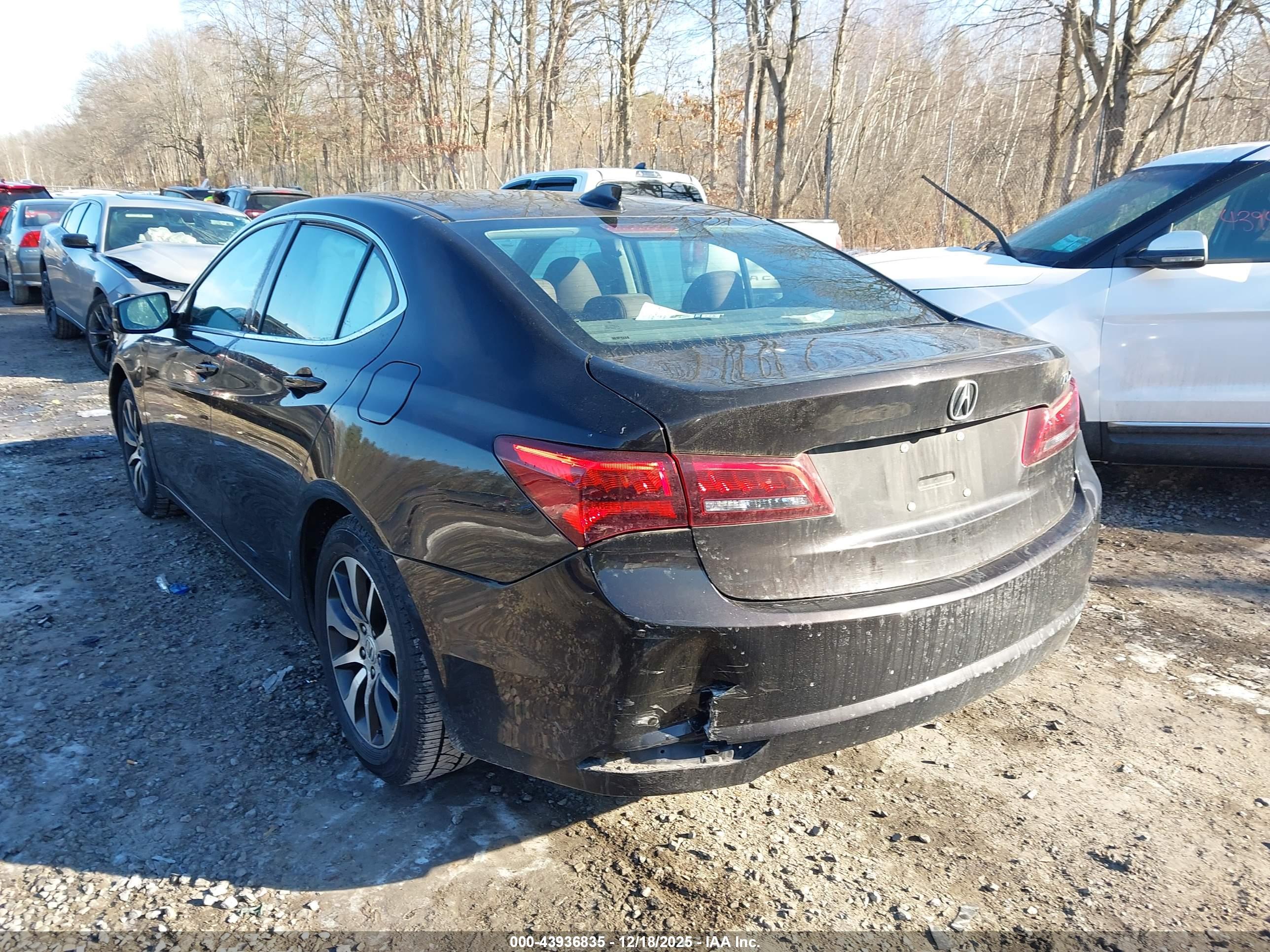 ACURA TLX image 6